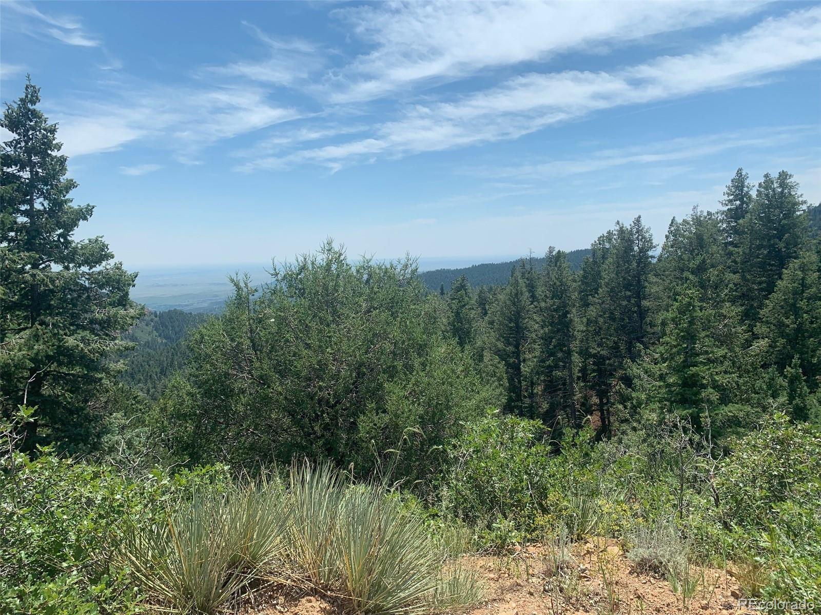 3435 Little Turkey Creek Road Colorado Springs CO 80926