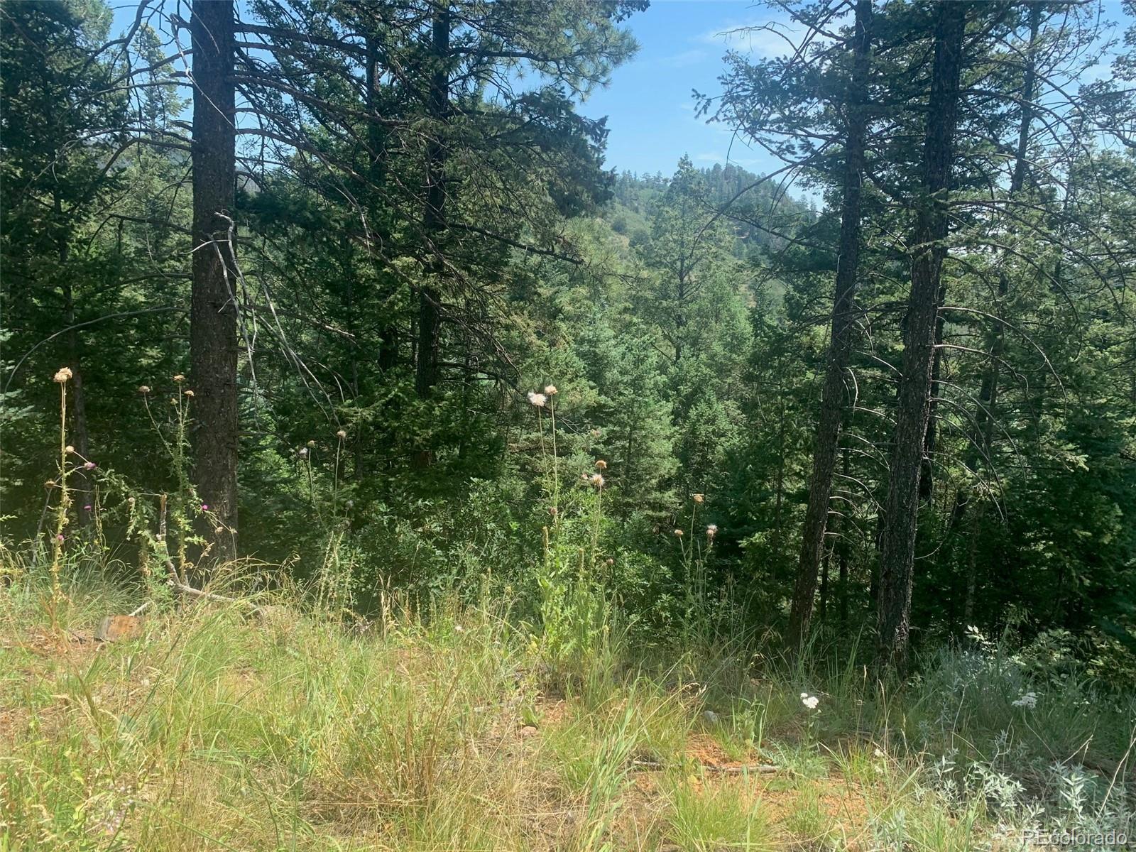 3435 Little Turkey Creek Road Colorado Springs CO 80926