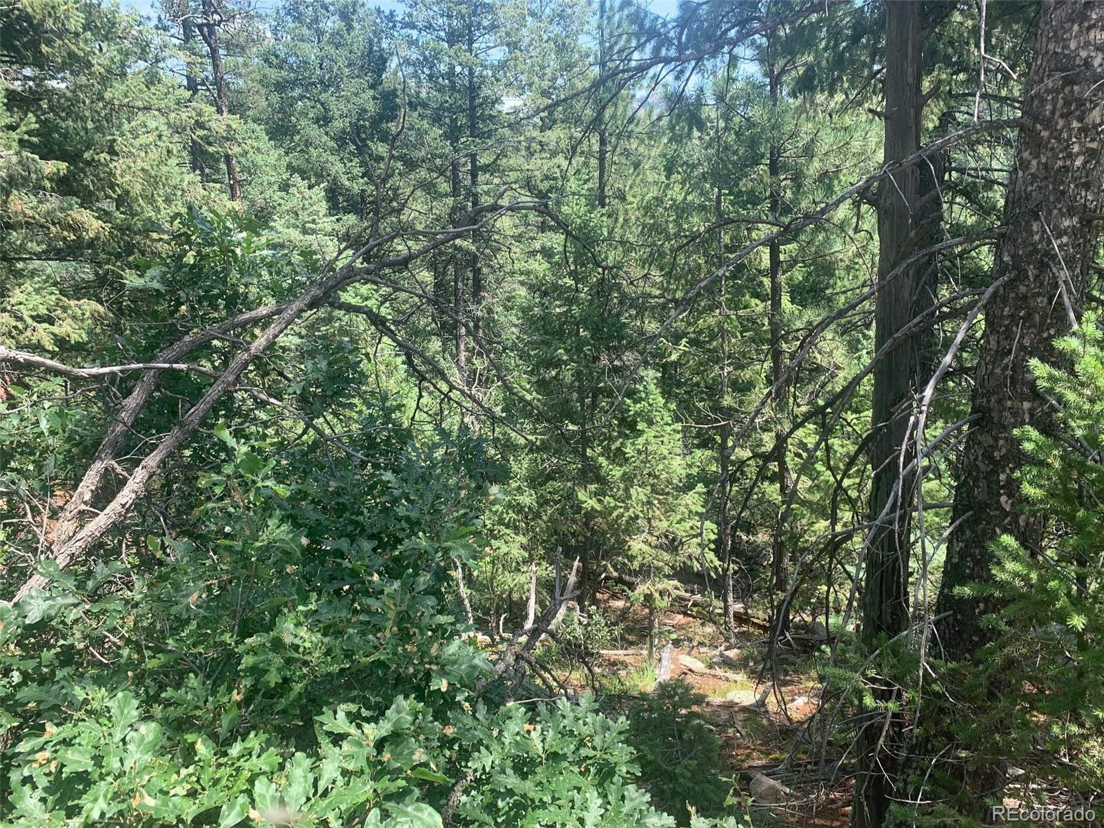 3435 Little Turkey Creek Road Colorado Springs CO 80926