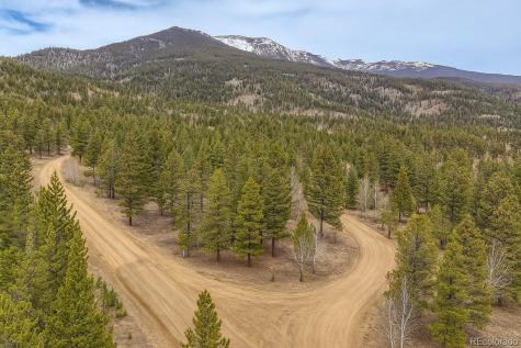 30406 National Forest Drive Buena Vista CO 81211