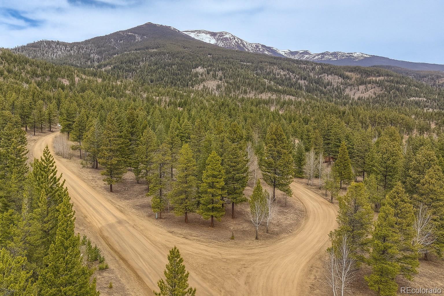 30406 National Forest Drive Buena Vista CO 81211