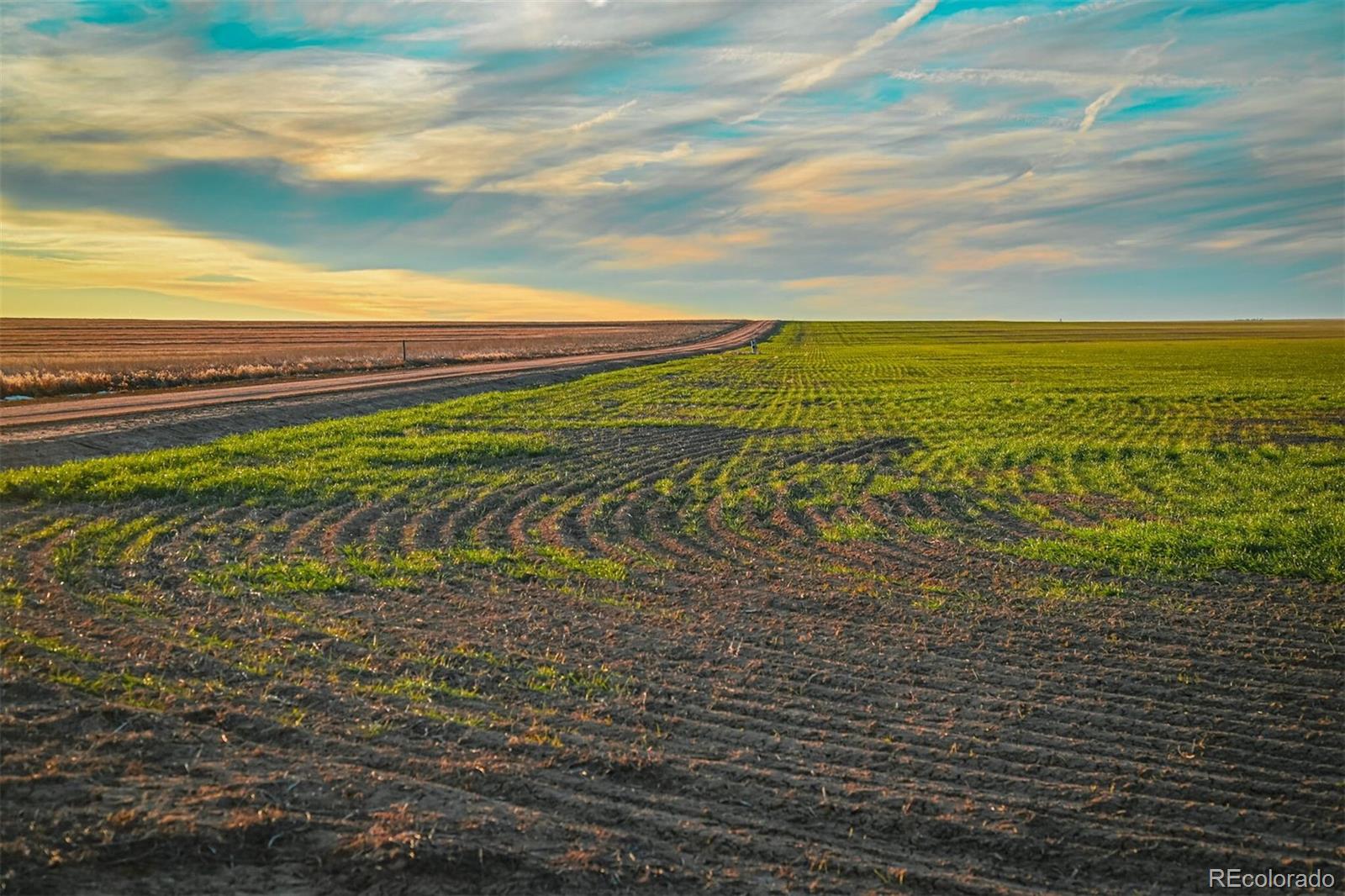 Tbd County Road 30 Haswell CO 81045