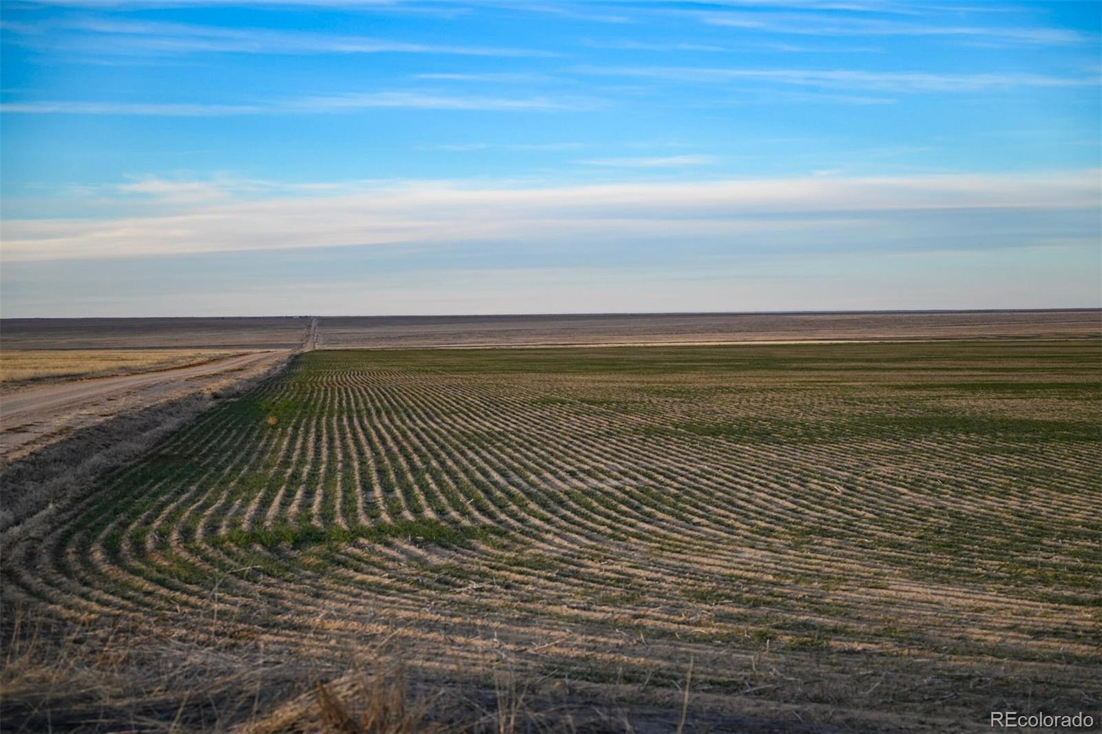 Tbd County Road 30 Haswell CO 81045
