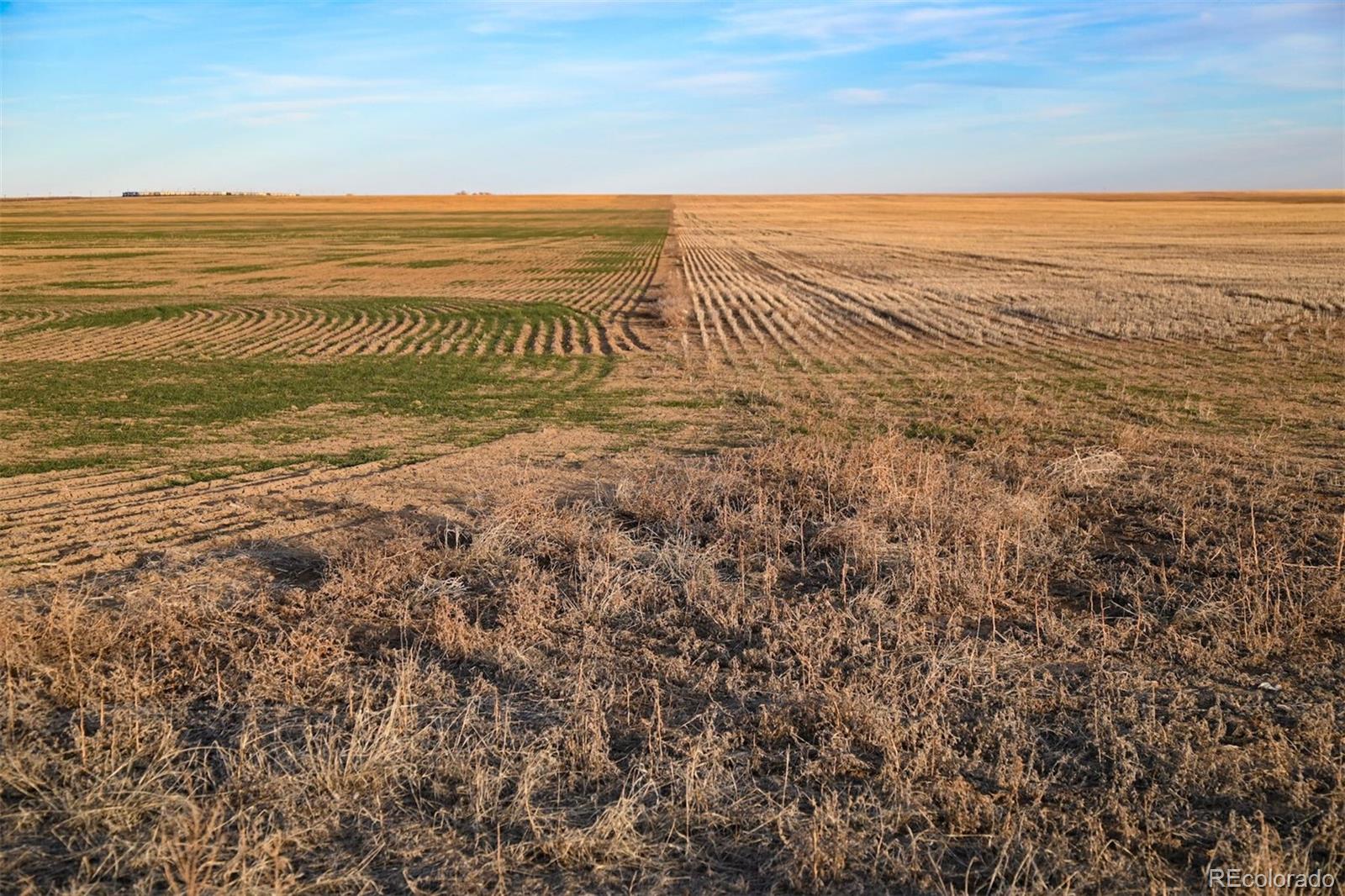 Tbd County Road 30 Haswell CO 81045