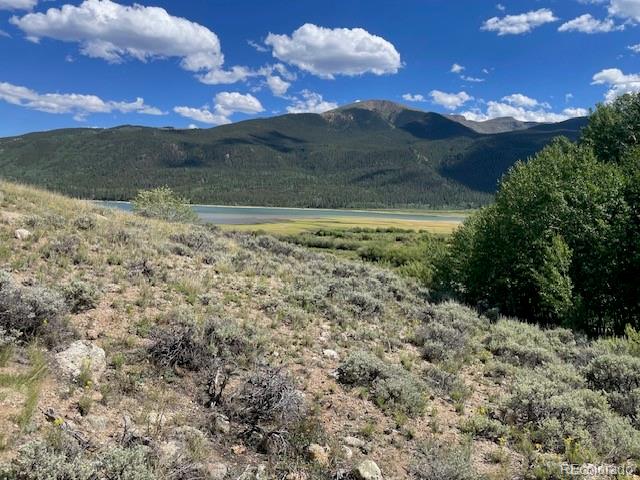 Lang Twin Lakes CO 81251