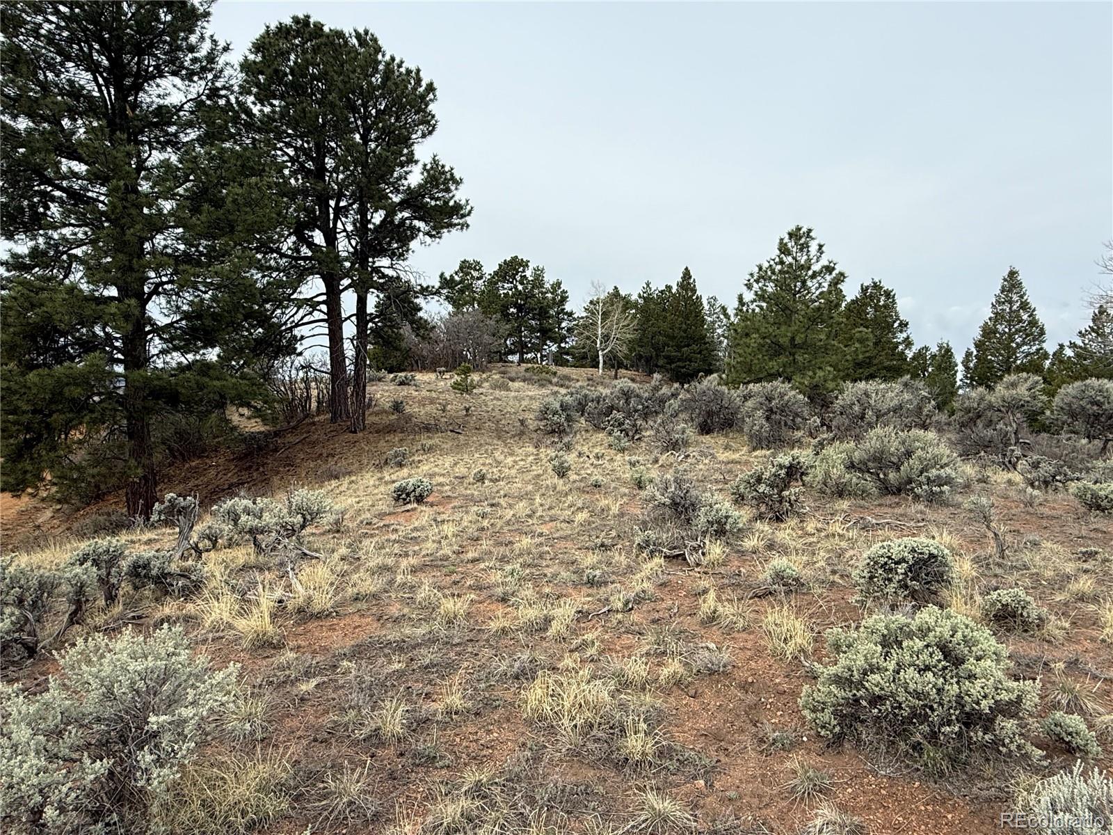 Lot 152 Tahmoush Lane Fort Garland CO 81133