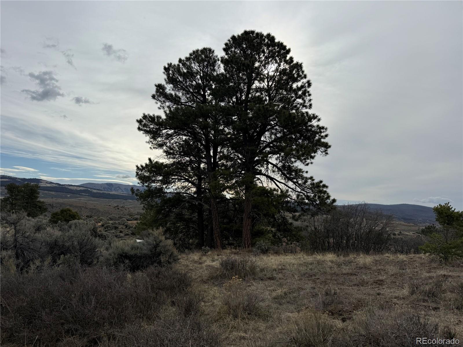 Lot 152 Tahmoush Lane Fort Garland CO 81133