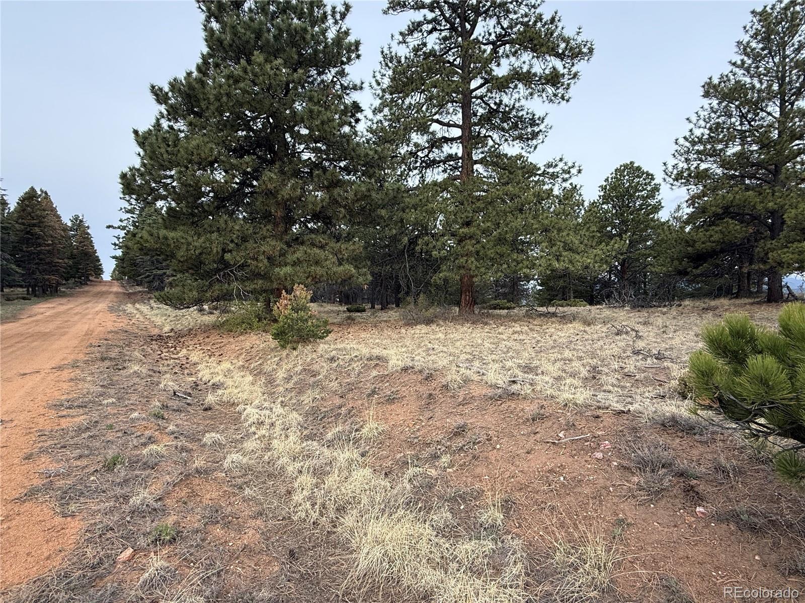 Lot 152 Tahmoush Lane Fort Garland CO 81133