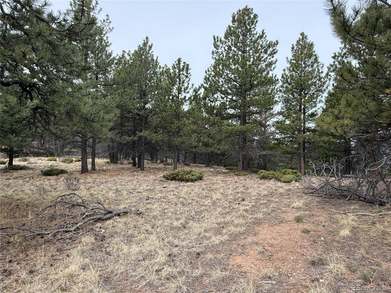 Lot 152 Tahmoush Lane Fort Garland CO 81133