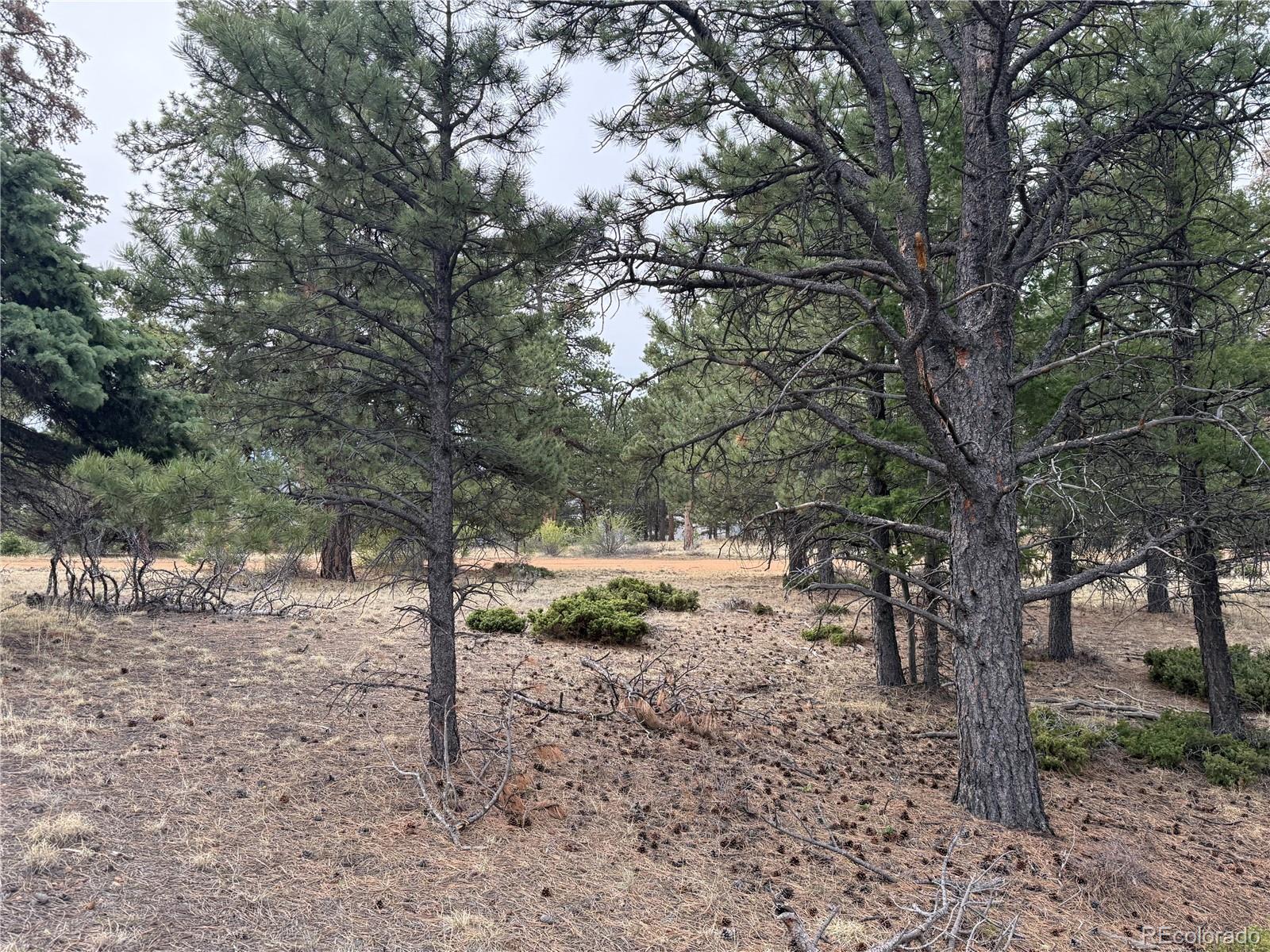 Lot 152 Tahmoush Lane Fort Garland CO 81133
