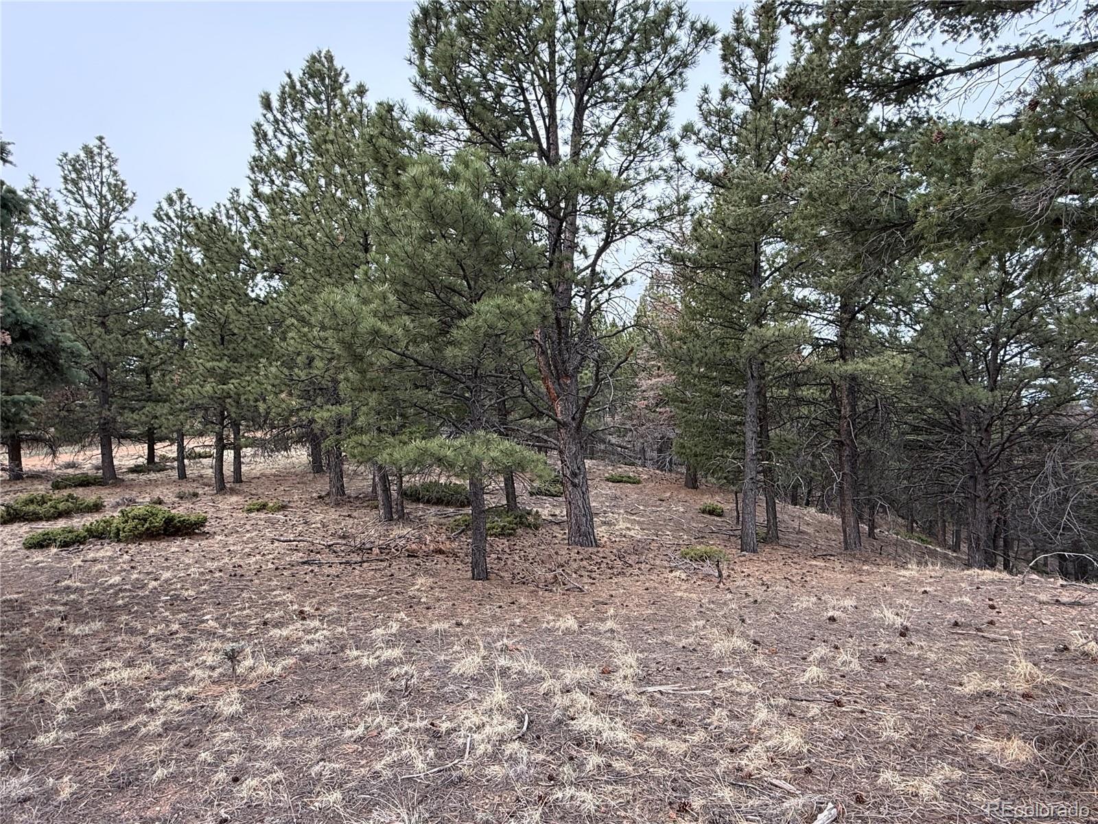 Lot 152 Tahmoush Lane Fort Garland CO 81133