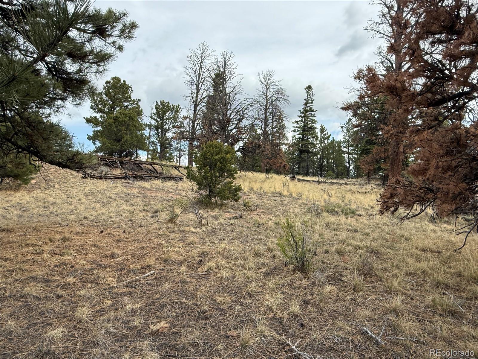 Lot 152 Tahmoush Lane Fort Garland CO 81133