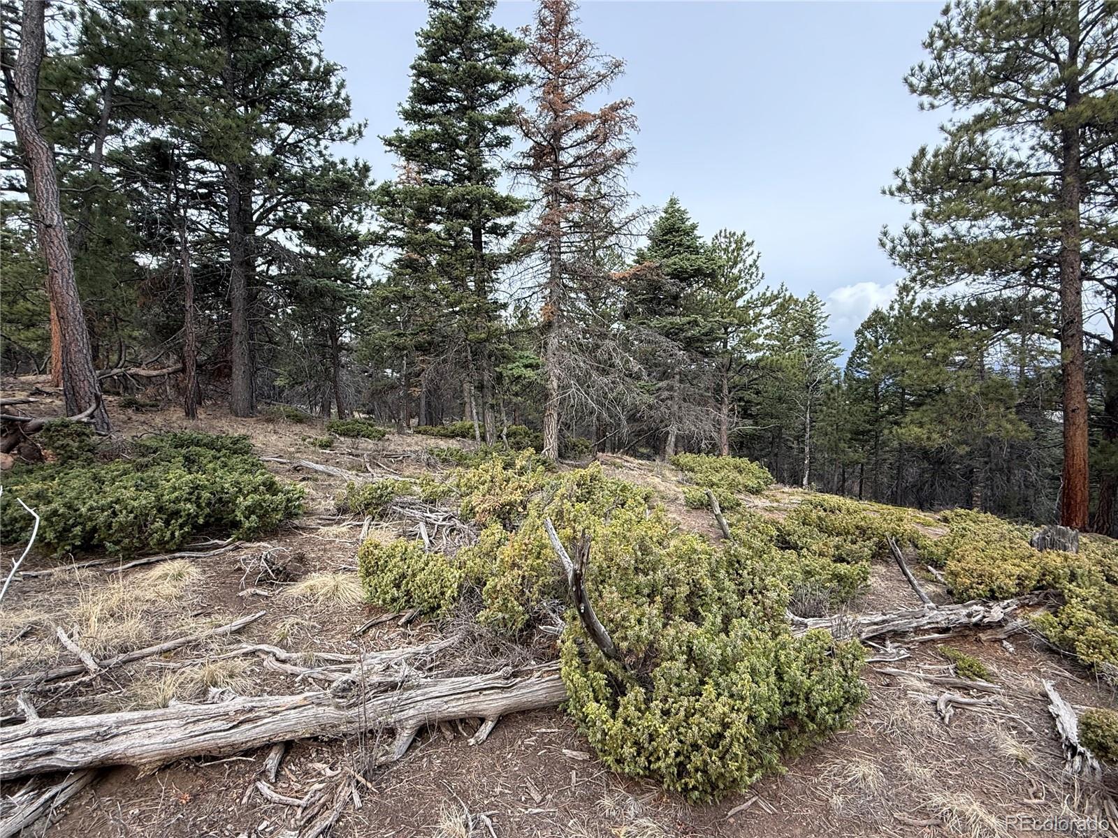 Lot 152 Tahmoush Lane Fort Garland CO 81133