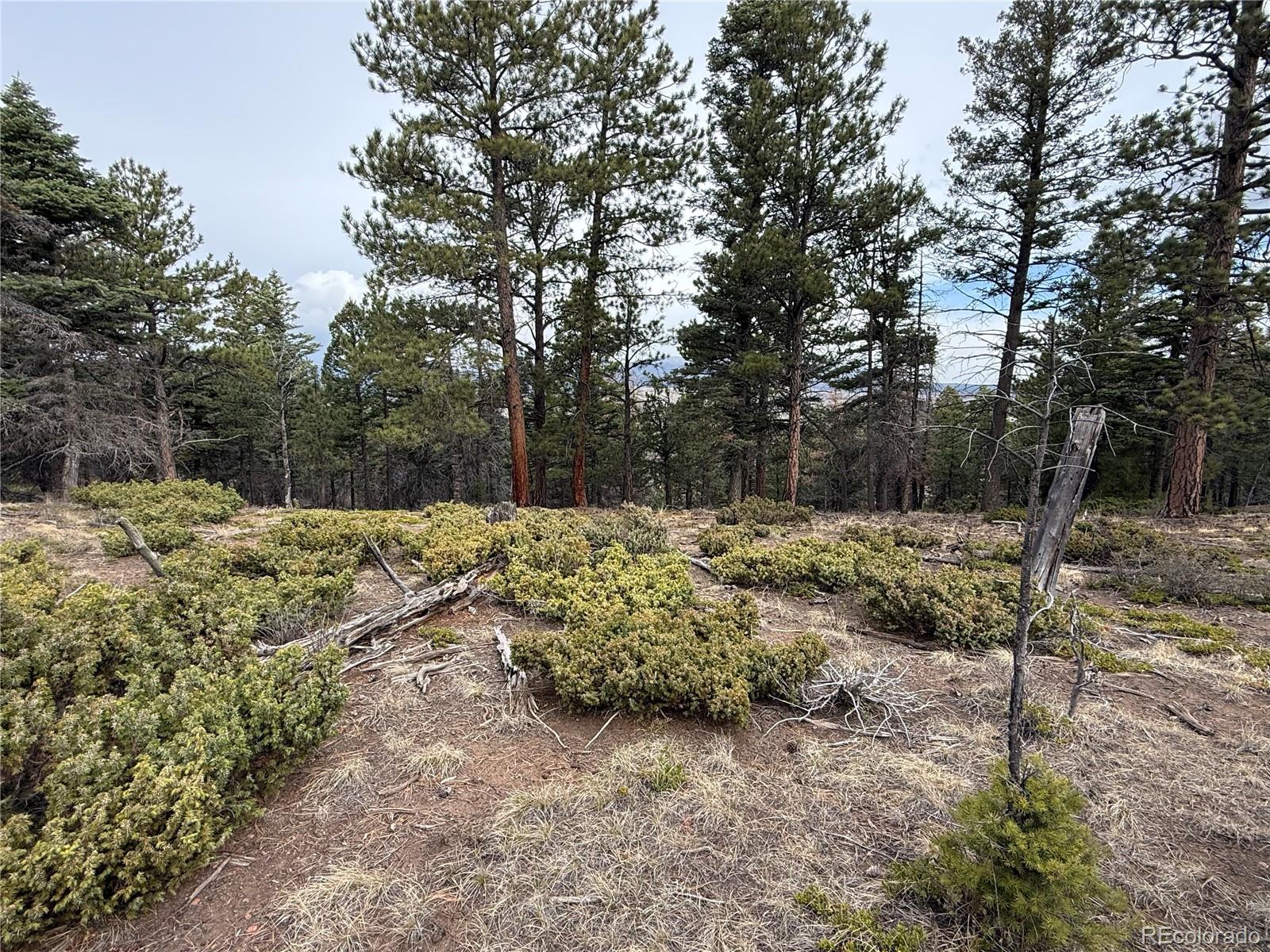 Lot 152 Tahmoush Lane Fort Garland CO 81133