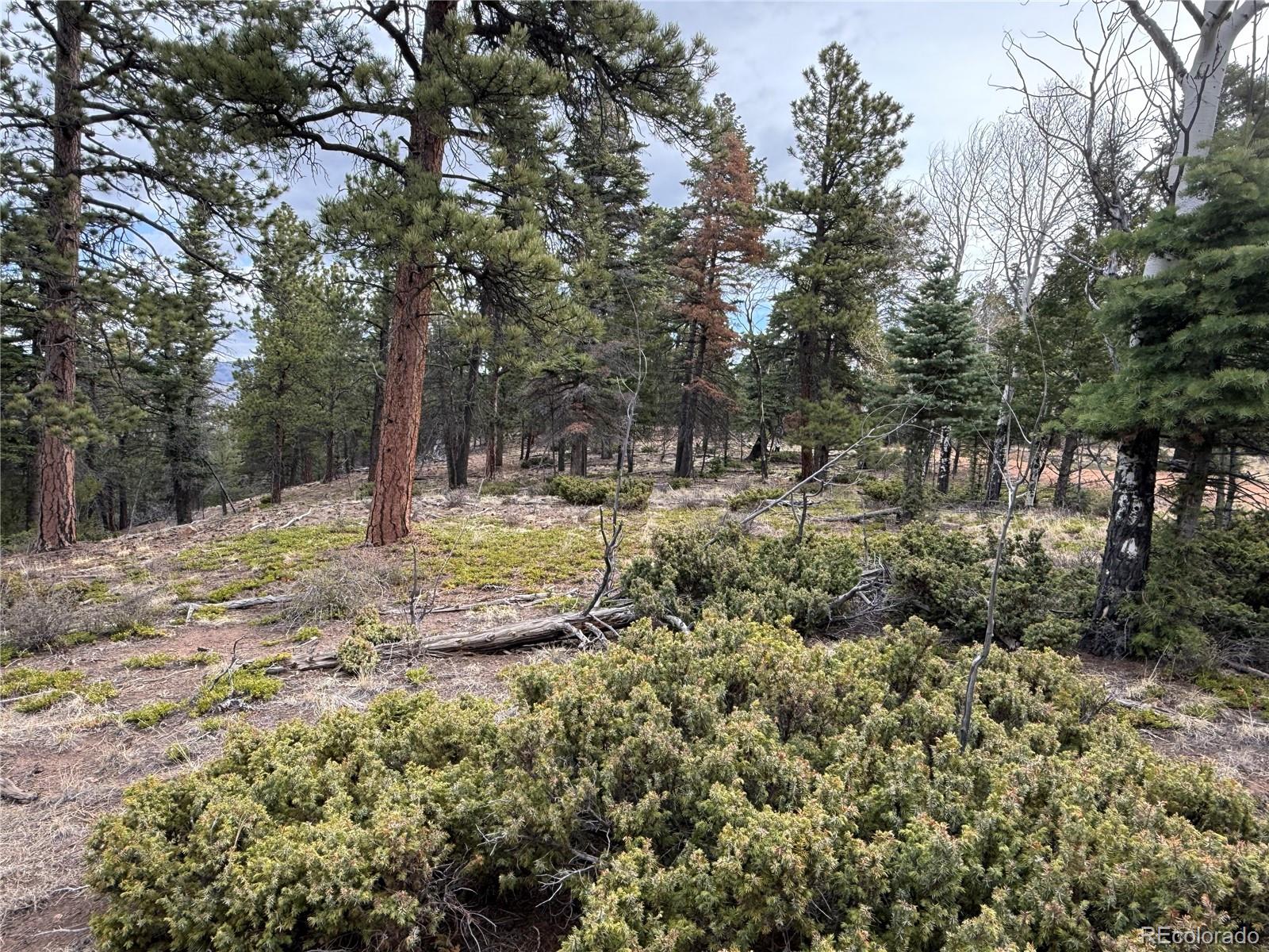 Lot 152 Tahmoush Lane Fort Garland CO 81133