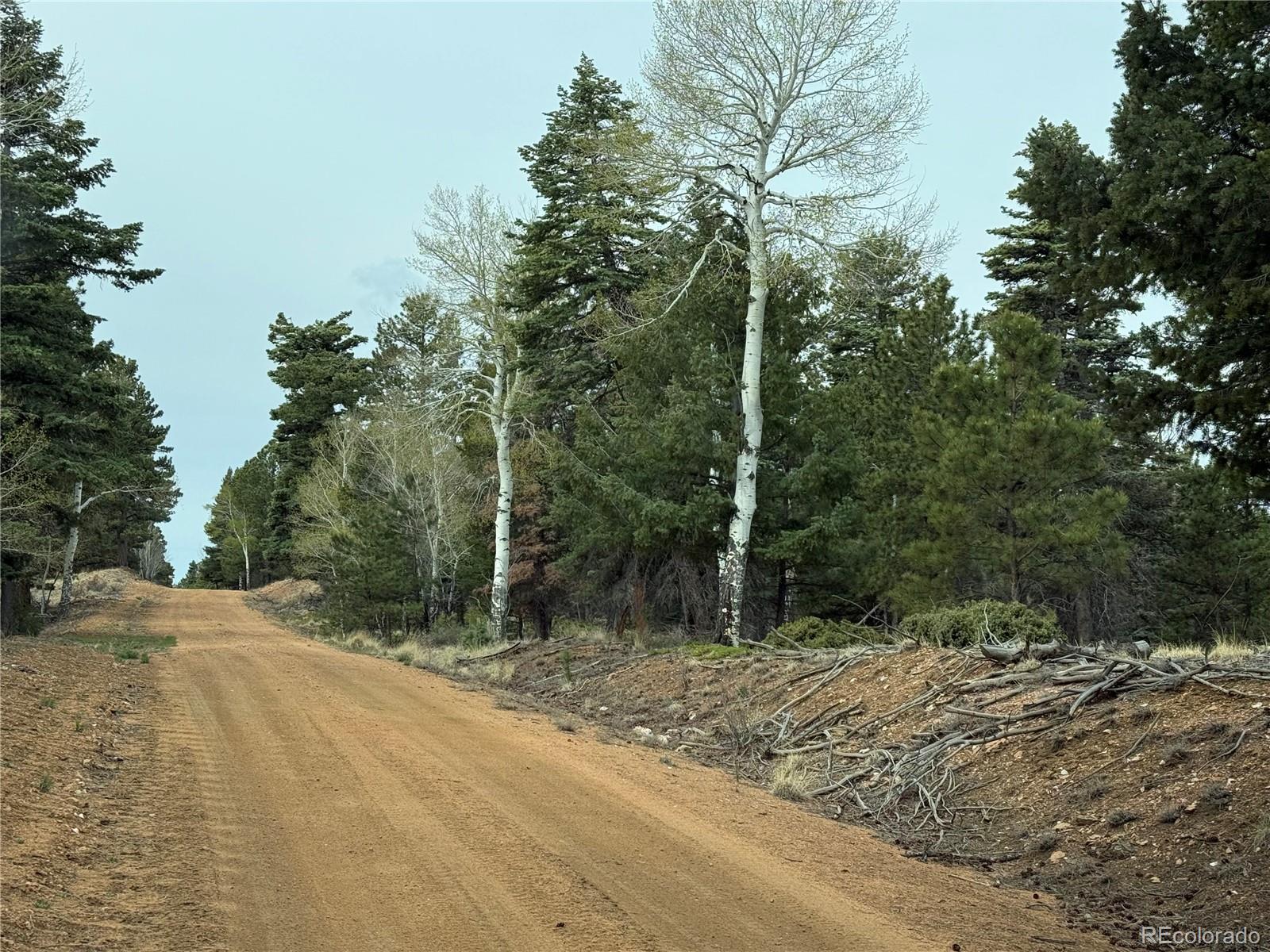 Lot 152 Tahmoush Lane Fort Garland CO 81133