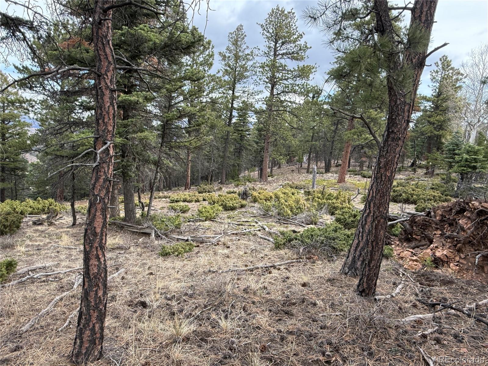 Lot 152 Tahmoush Lane Fort Garland CO 81133