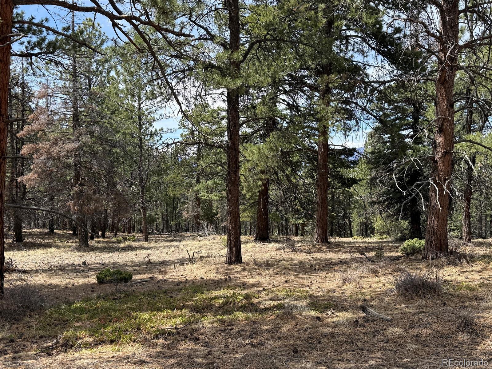 Lot 152 Tahmoush Lane Fort Garland CO 81133