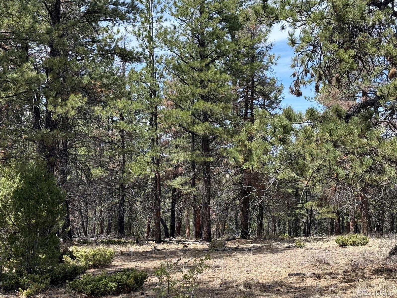 Lot 152 Tahmoush Lane Fort Garland CO 81133