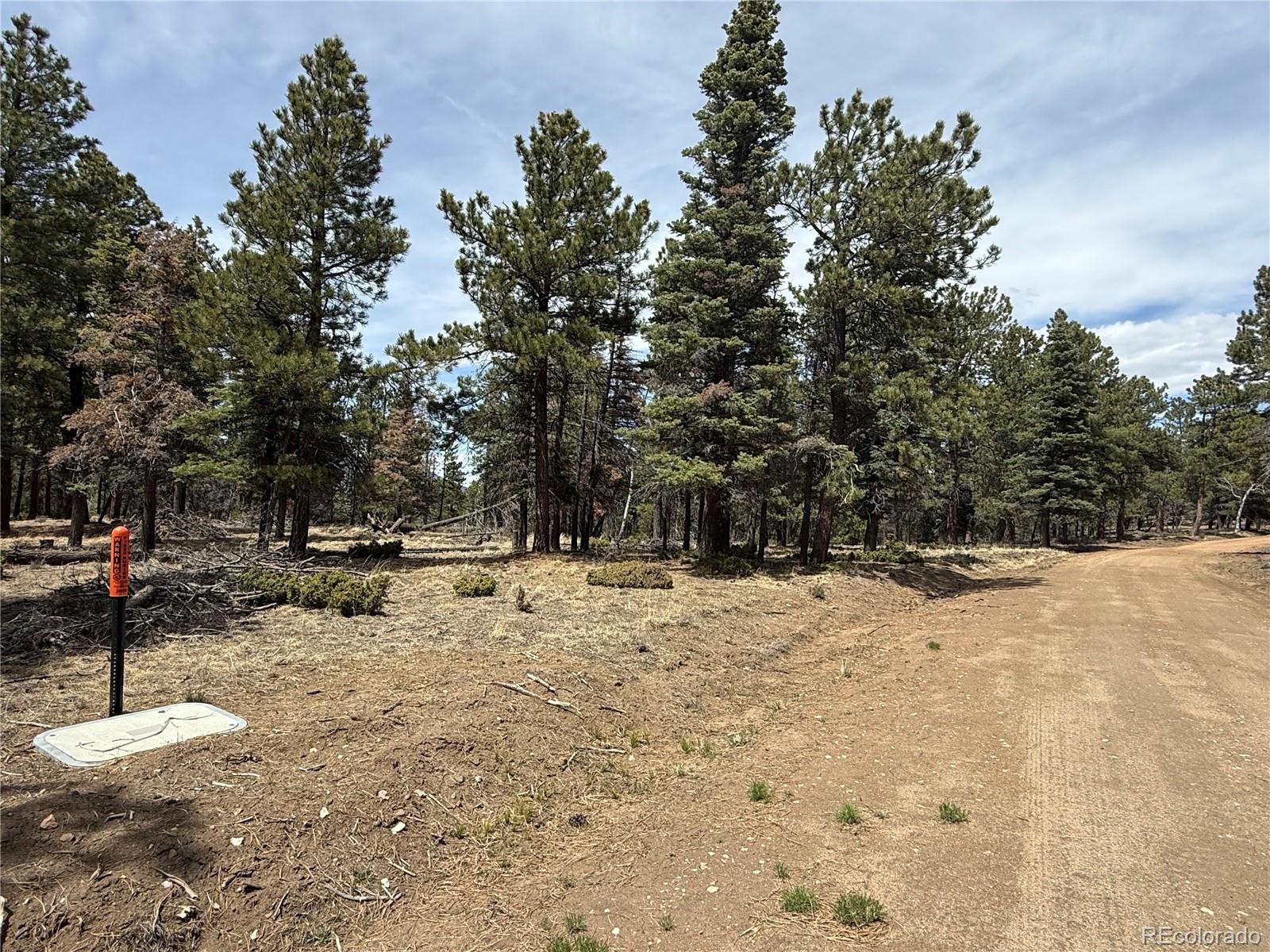 Lot 152 Tahmoush Lane Fort Garland CO 81133