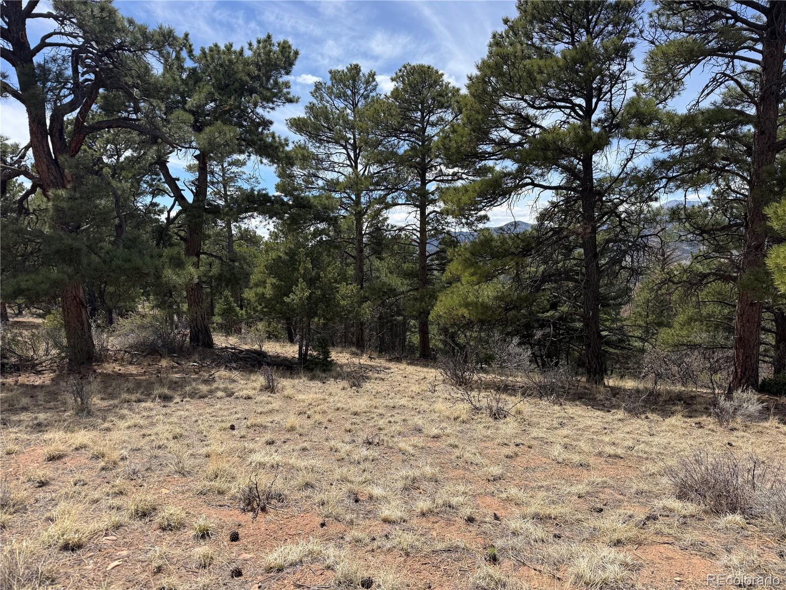 Lot 152 Tahmoush Lane Fort Garland CO 81133