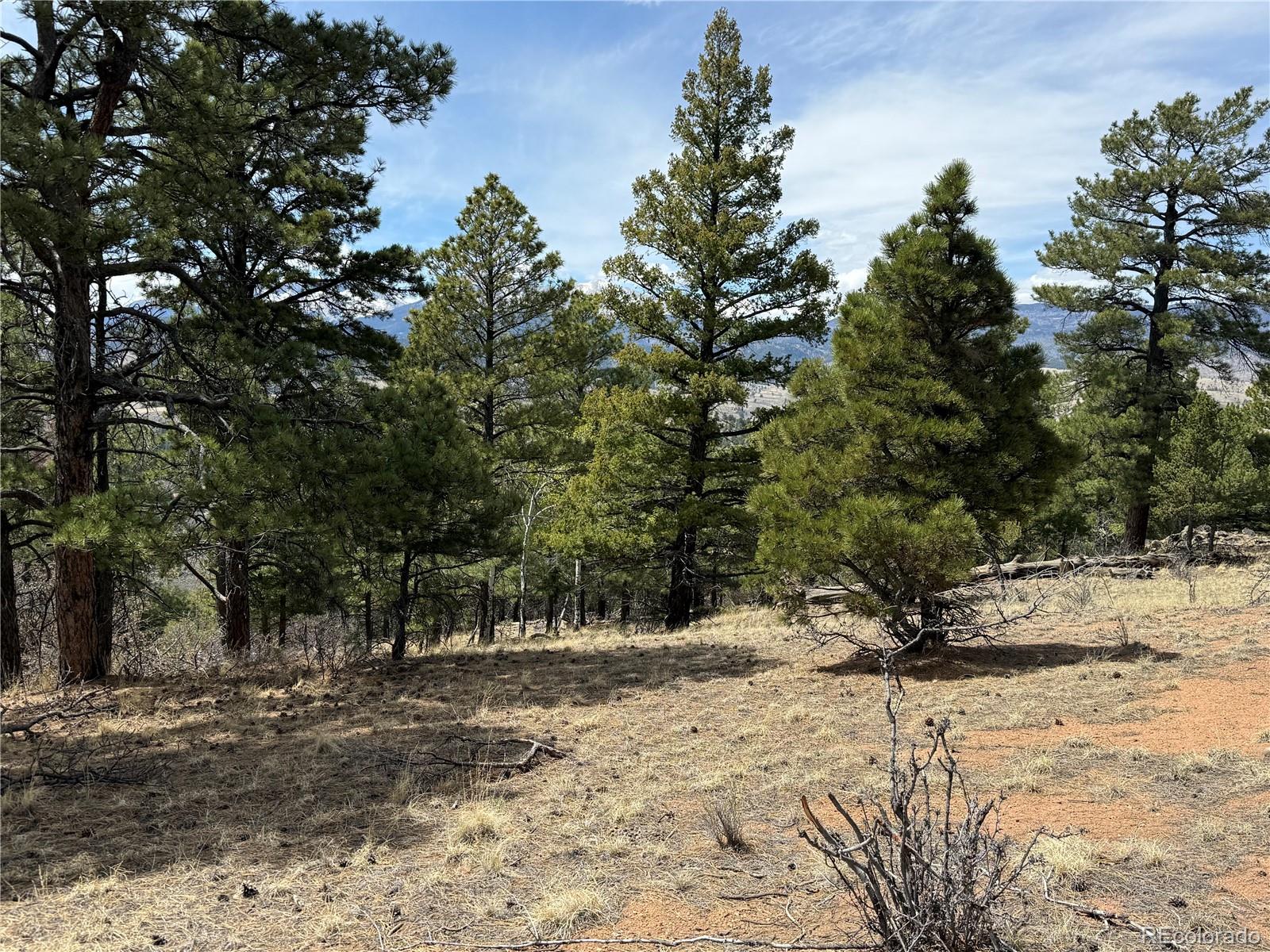 Lot 152 Tahmoush Lane Fort Garland CO 81133