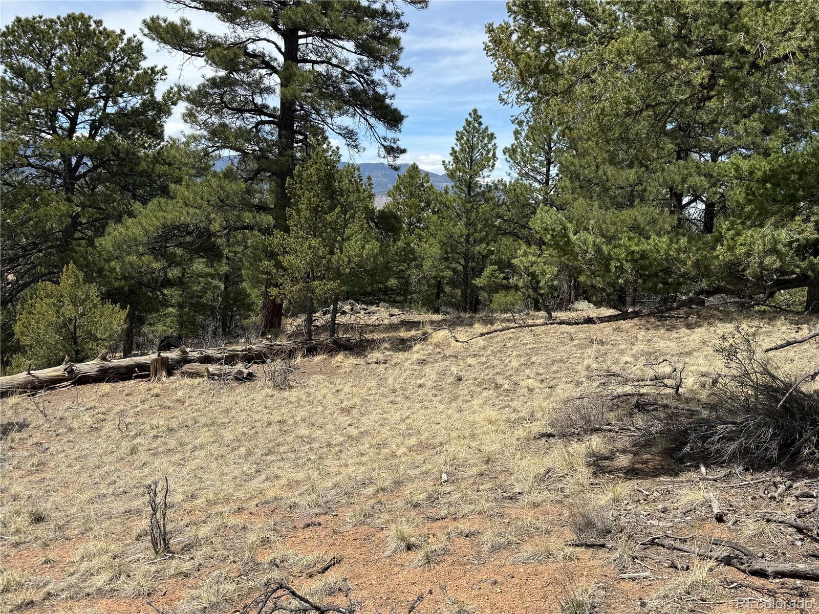 Lot 152 Tahmoush Lane Fort Garland CO 81133