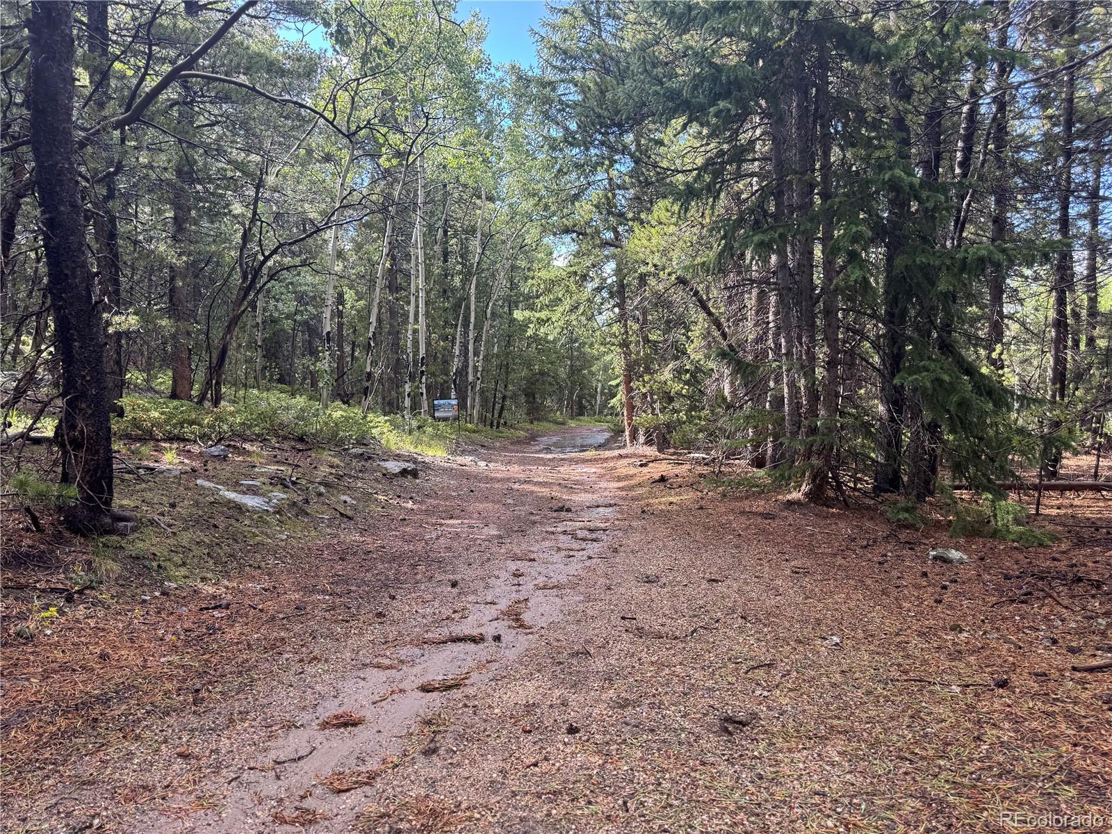 005 Roy Smith Road Central City CO 80427