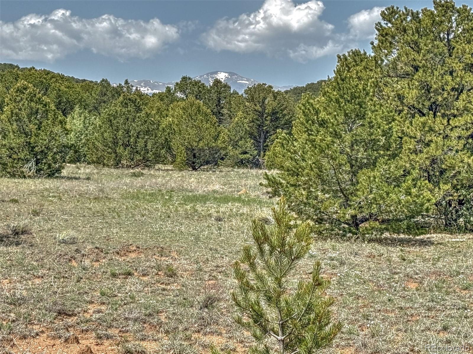 Tbd Lot 34 Corral N Cotopaxi CO 81223