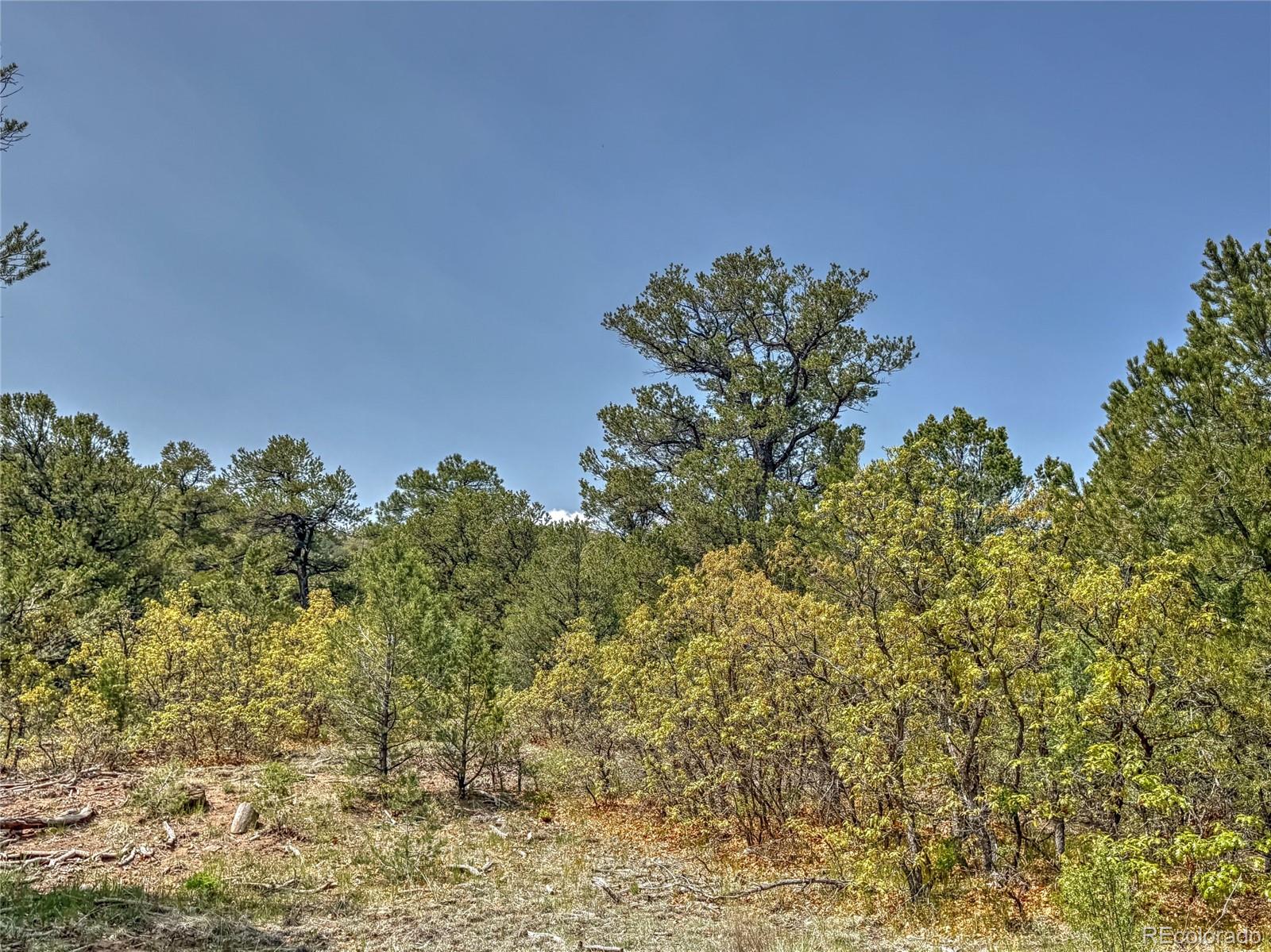 Tbd Lot 34 Corral N Cotopaxi CO 81223