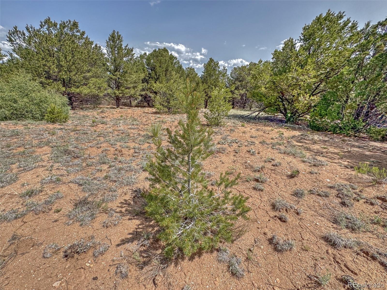 Tbd Lot 34 Corral N Cotopaxi CO 81223