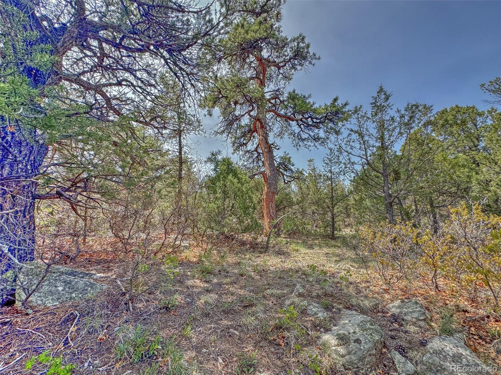 Tbd Lot 34 Corral N Cotopaxi CO 81223