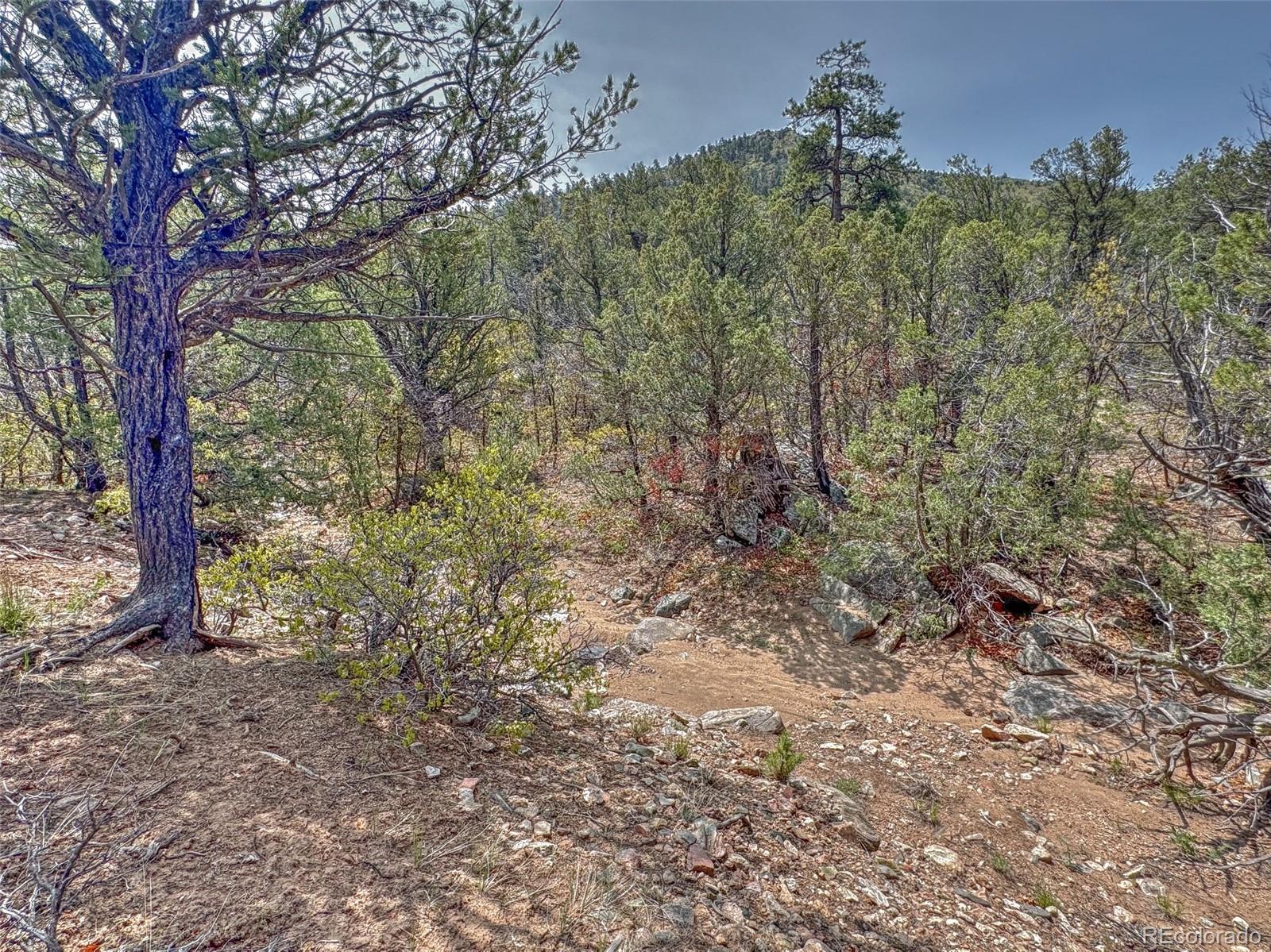Tbd Lot 34 Corral N Cotopaxi CO 81223