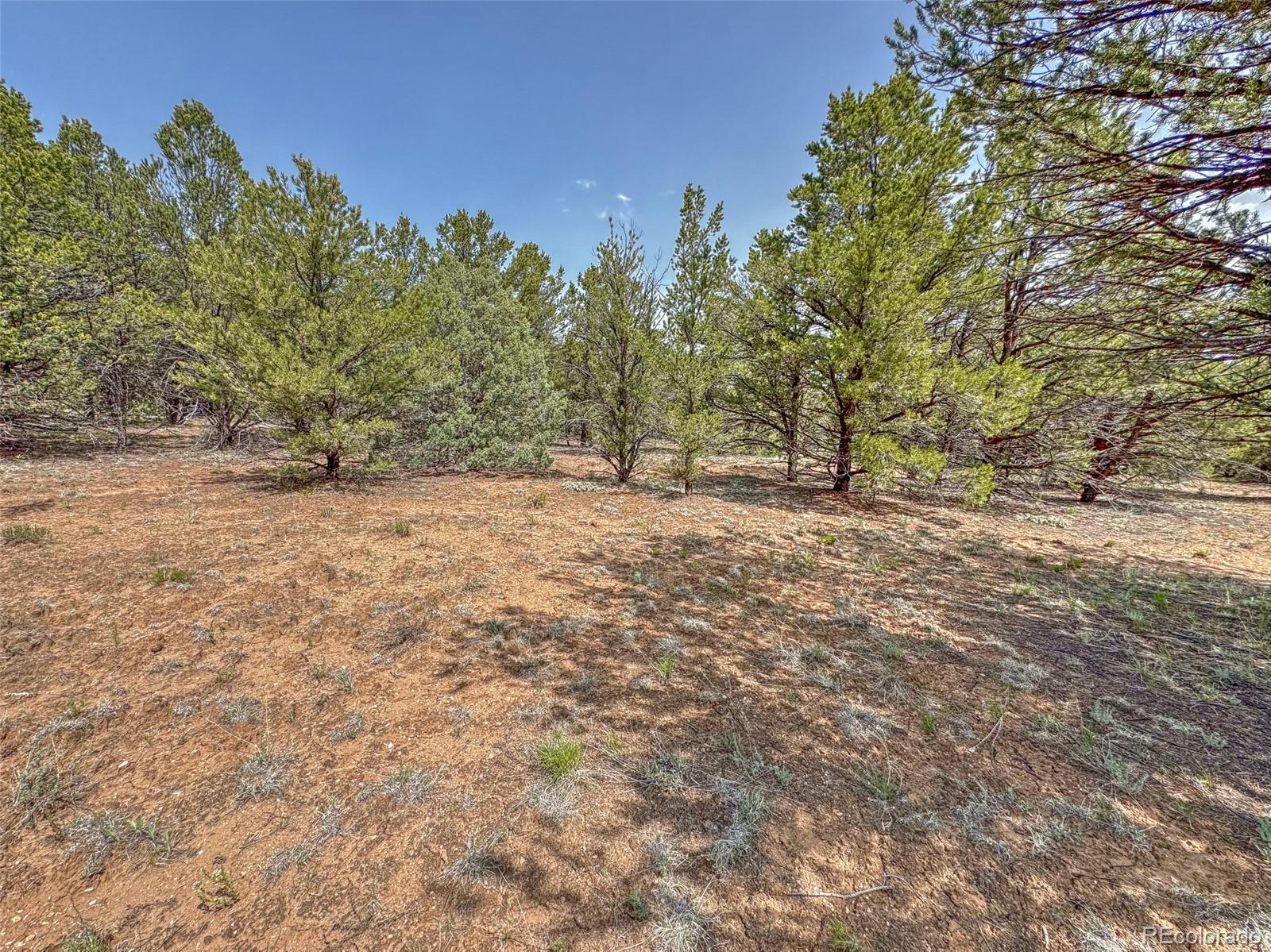 Tbd Lot 34 Corral N Cotopaxi CO 81223