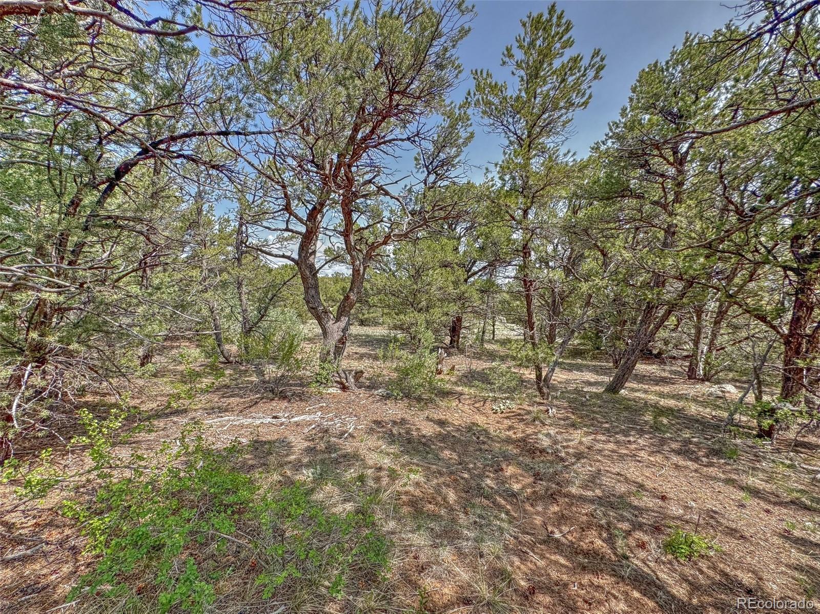 Tbd Lot 34 Corral N Cotopaxi CO 81223
