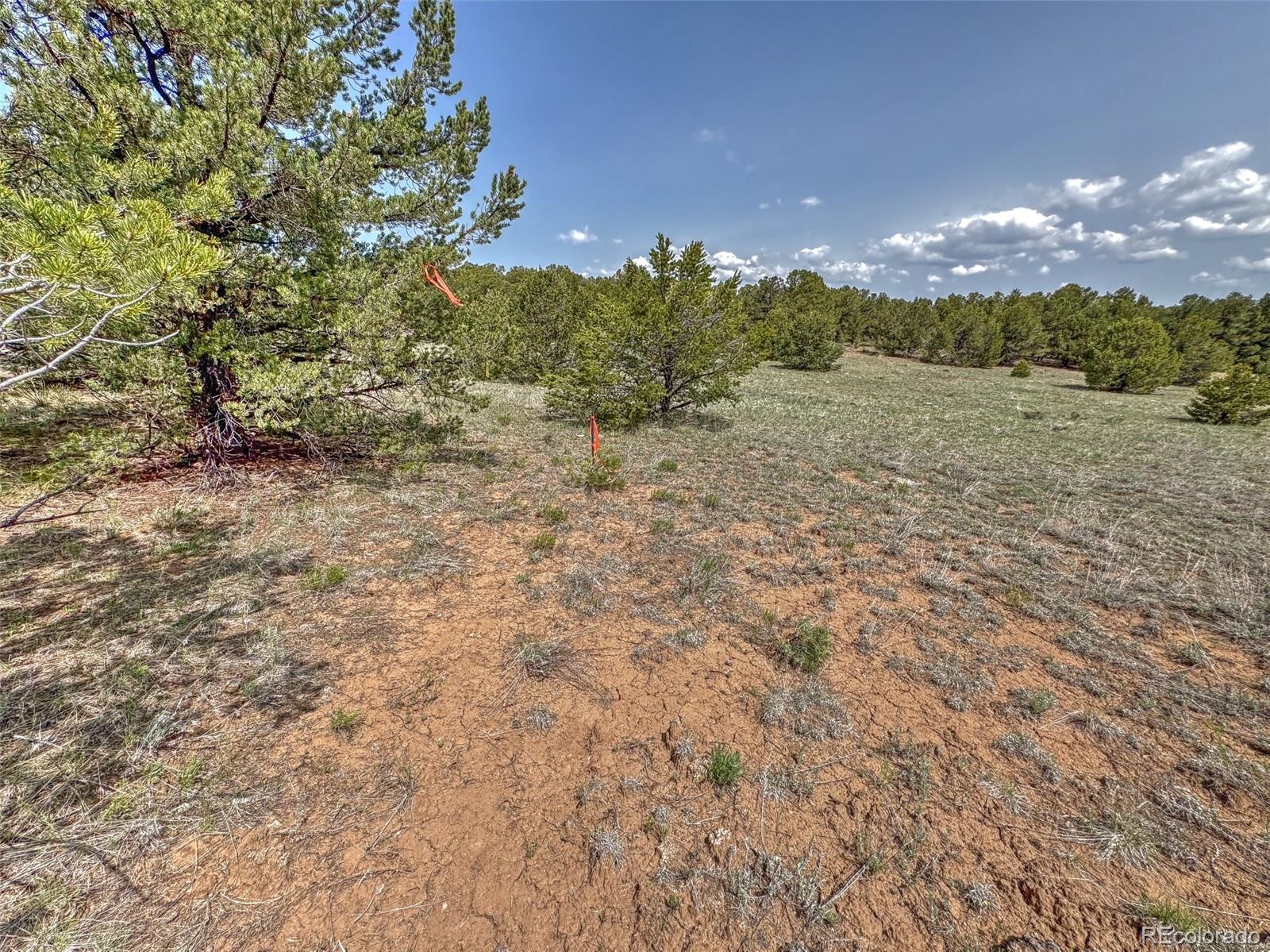 Tbd Lot 34 Corral N Cotopaxi CO 81223