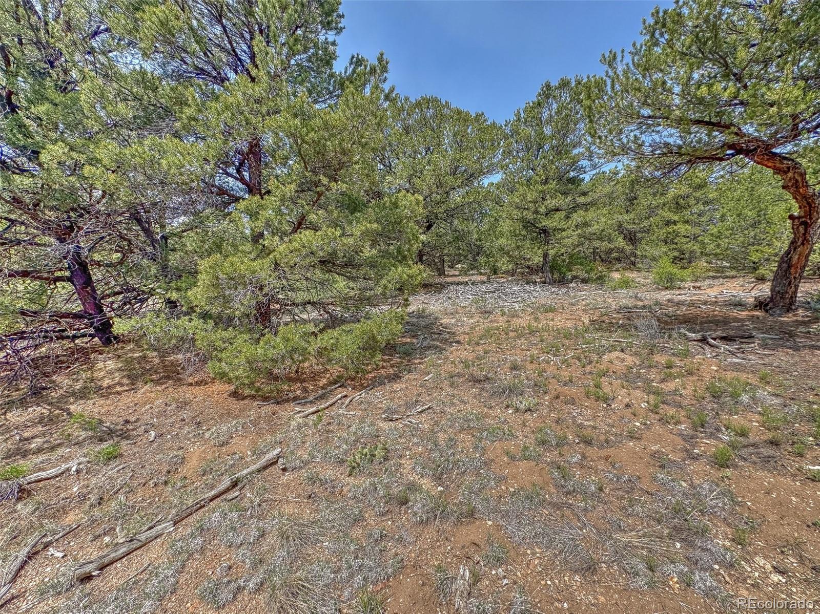 Tbd Lot 34 Corral N Cotopaxi CO 81223