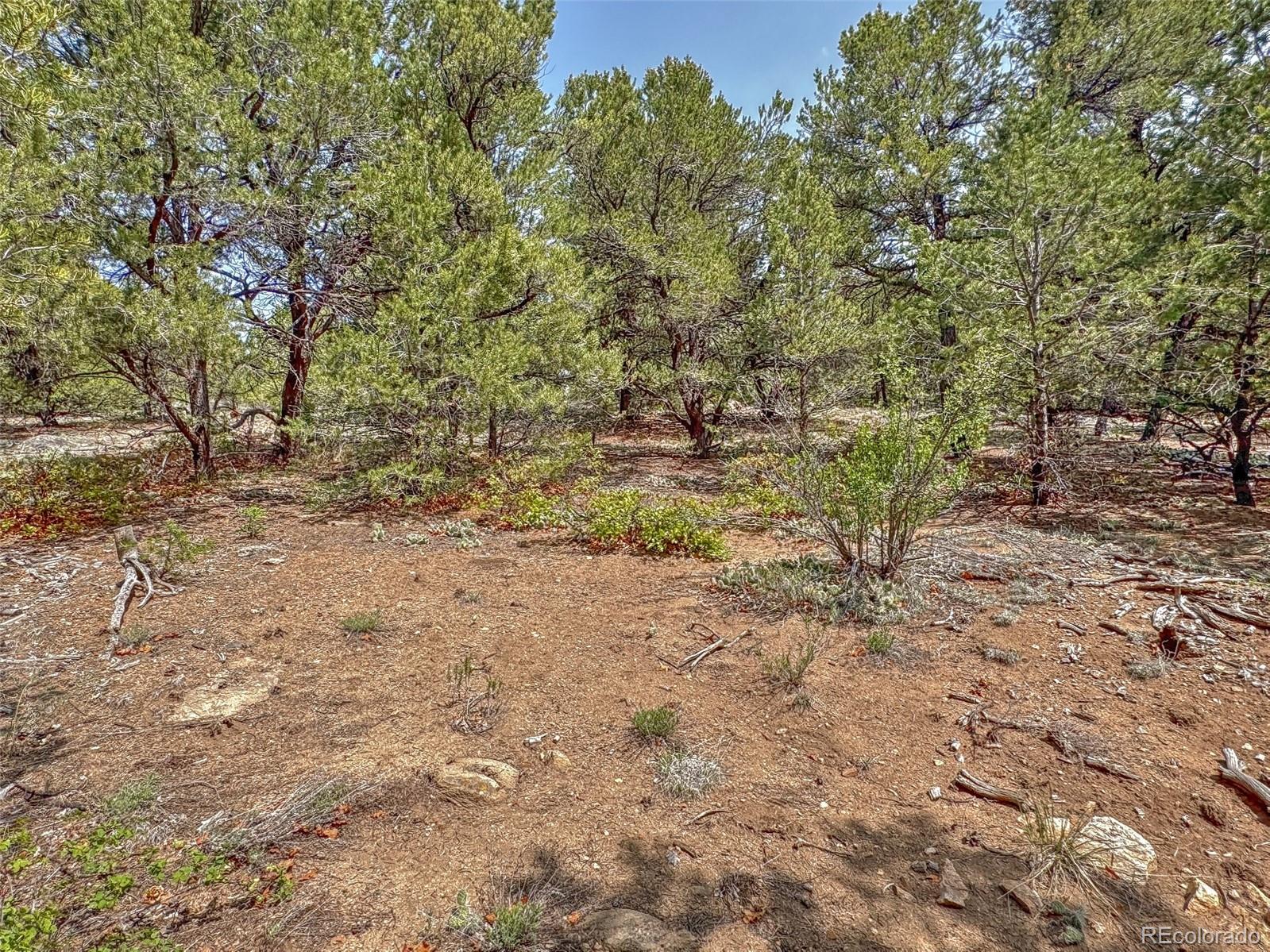 Tbd Lot 34 Corral N Cotopaxi CO 81223