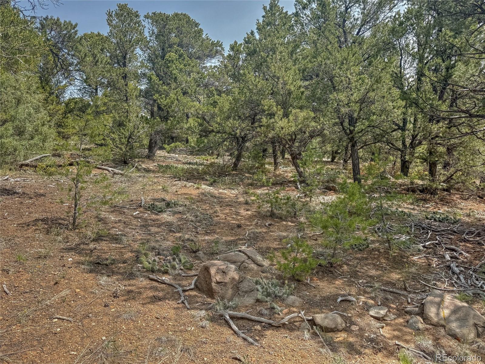Tbd Lot 34 Corral N Cotopaxi CO 81223