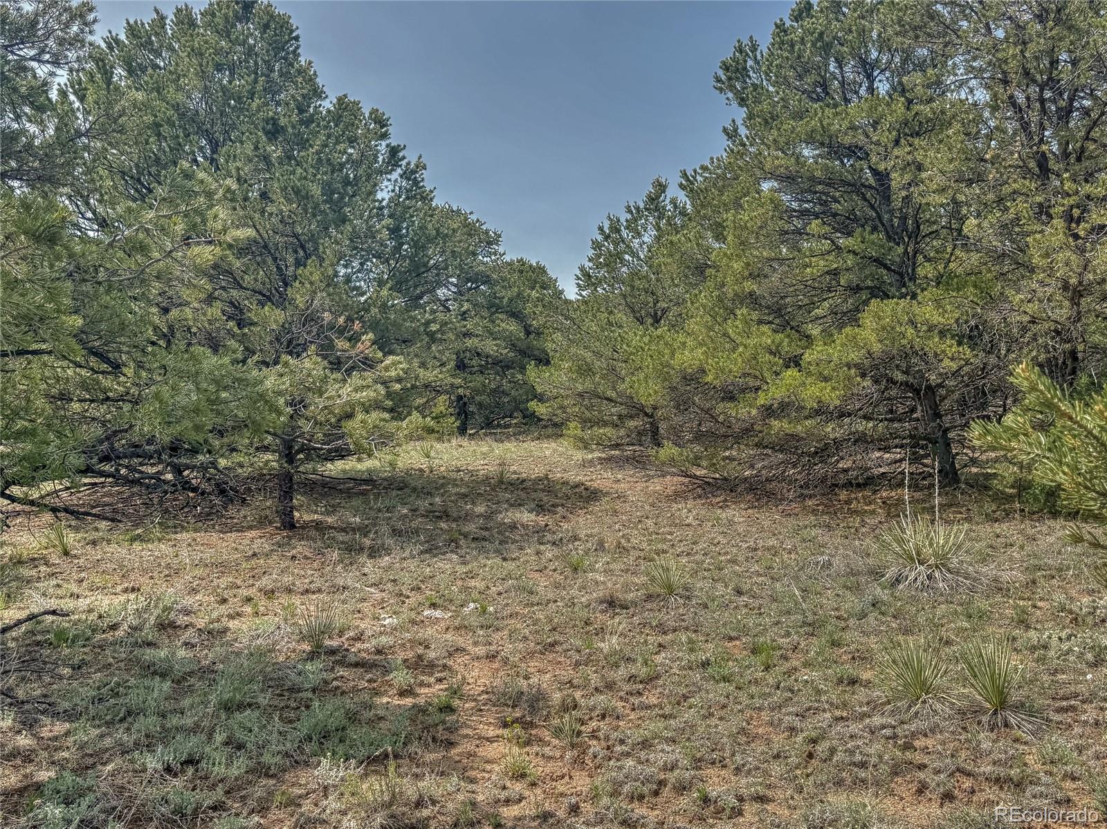 Tbd Lot 34 Corral N Cotopaxi CO 81223