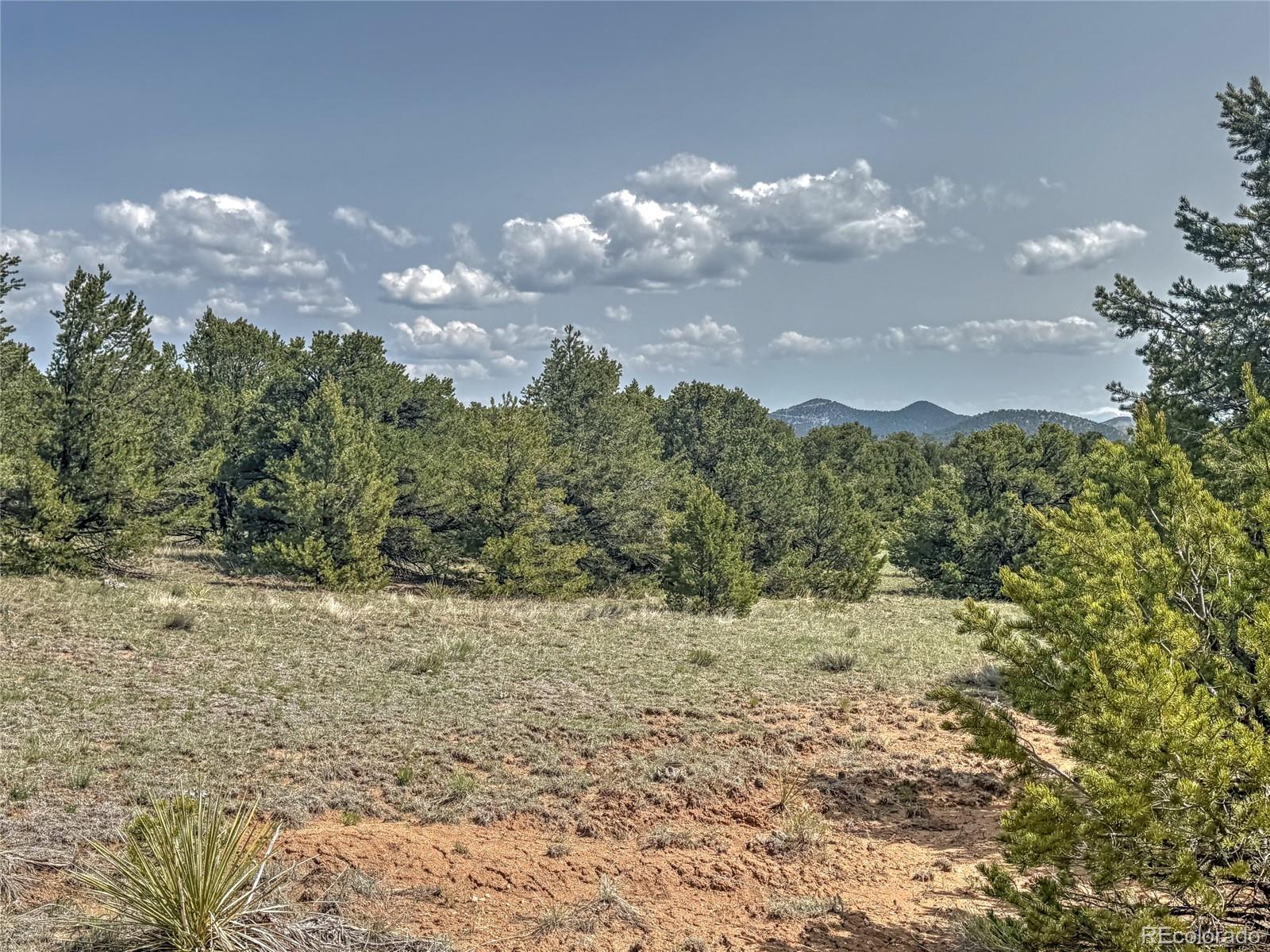 Tbd Lot 34 Corral N Cotopaxi CO 81223
