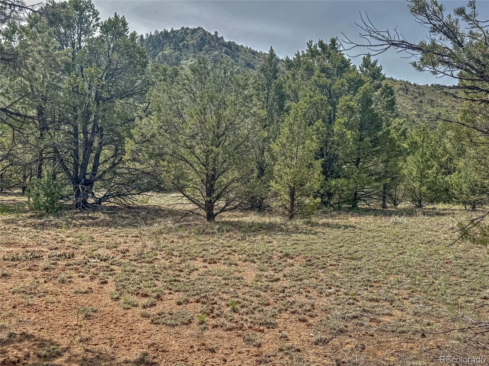 Tbd Lot 34 Corral N Cotopaxi CO 81223