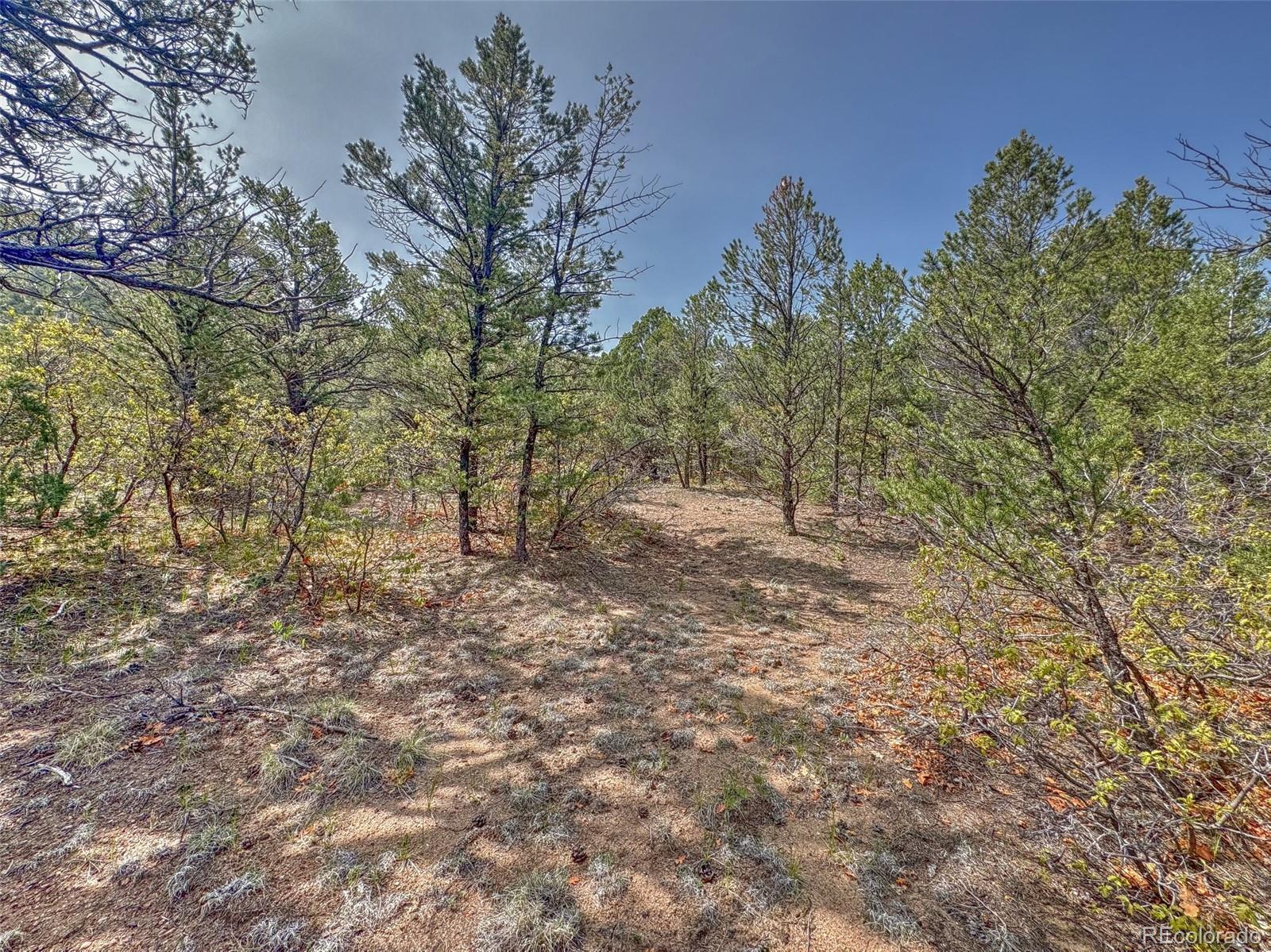Tbd Lot 34 Corral N Cotopaxi CO 81223