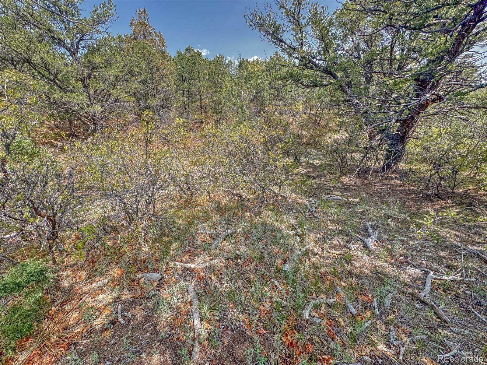 Tbd Lot 34 Corral N Cotopaxi CO 81223