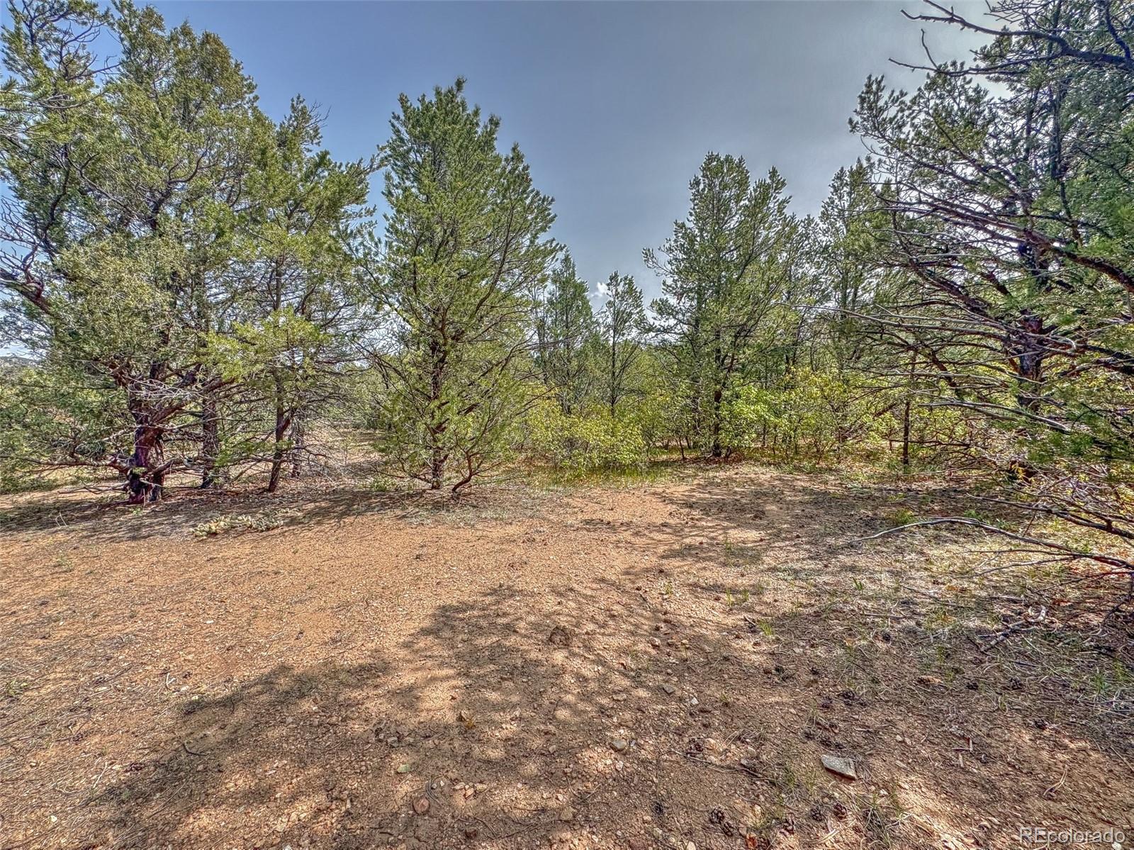 Tbd Lot 34 Corral N Cotopaxi CO 81223