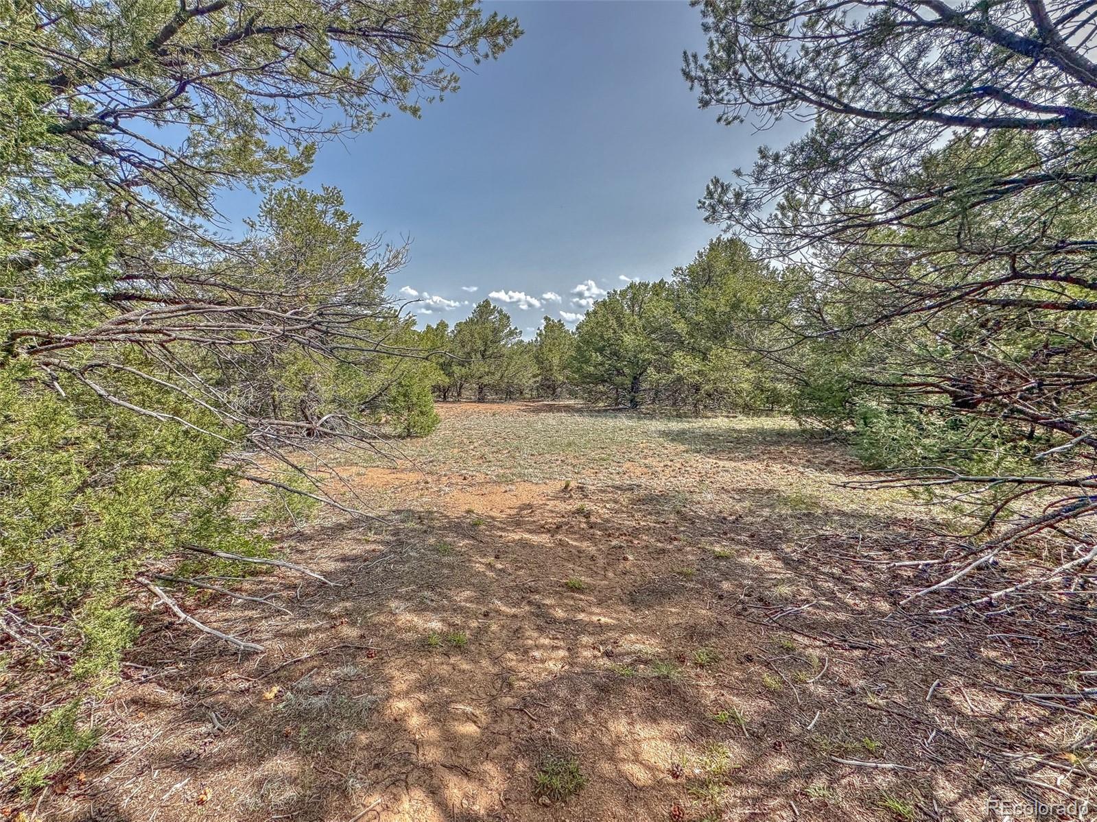 Tbd Lot 34 Corral N Cotopaxi CO 81223