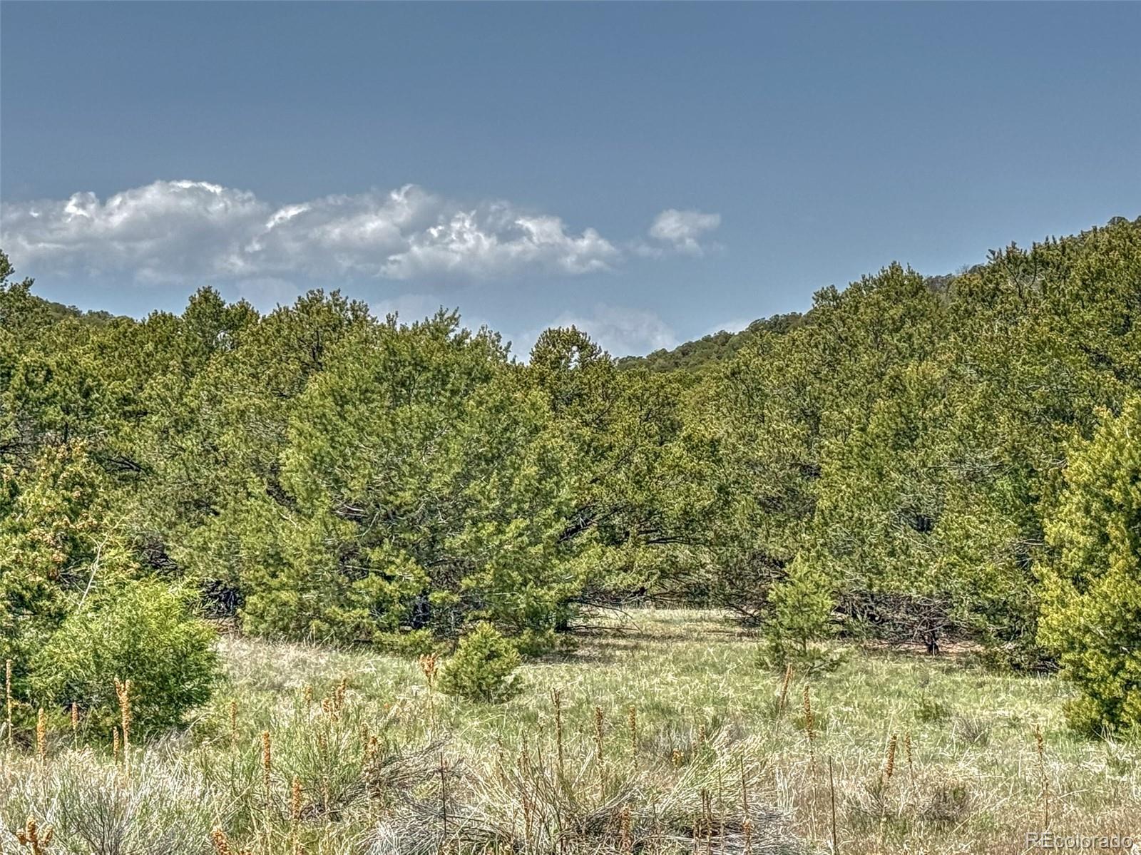 Tbd Lot 34 Corral N Cotopaxi CO 81223