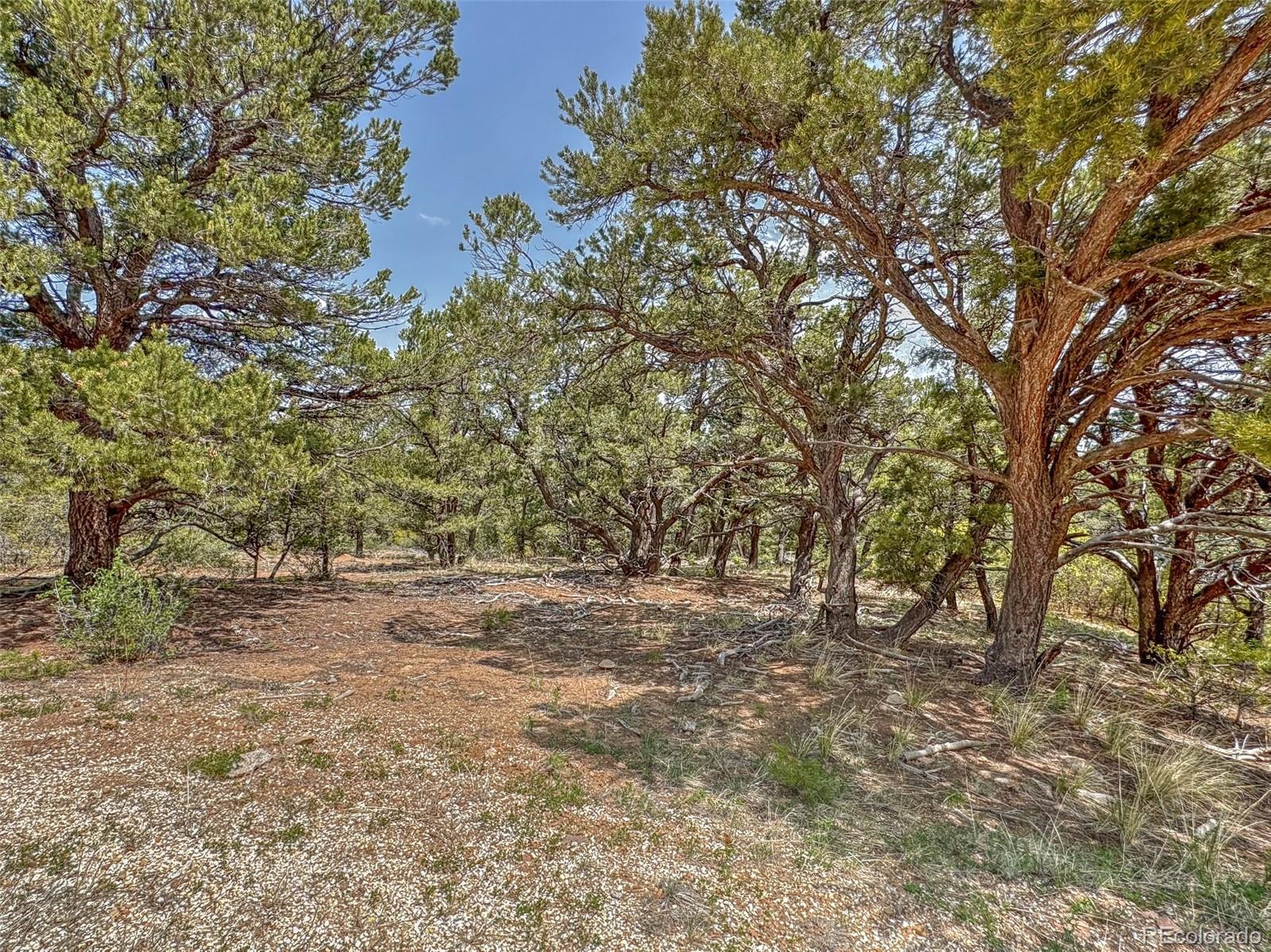 Tbd Lot 34 Corral N Cotopaxi CO 81223