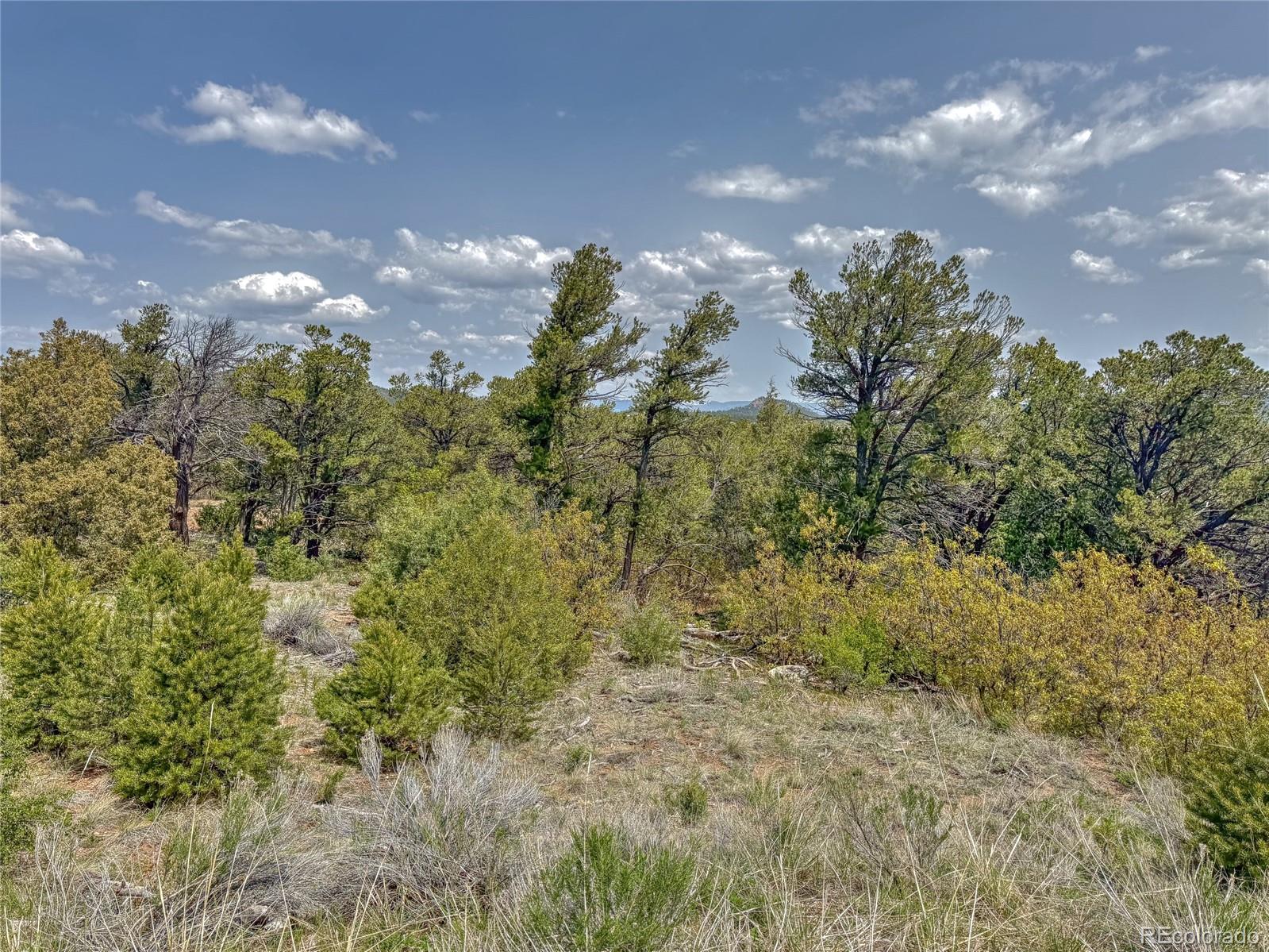 Tbd Lot 34 Corral N Cotopaxi CO 81223