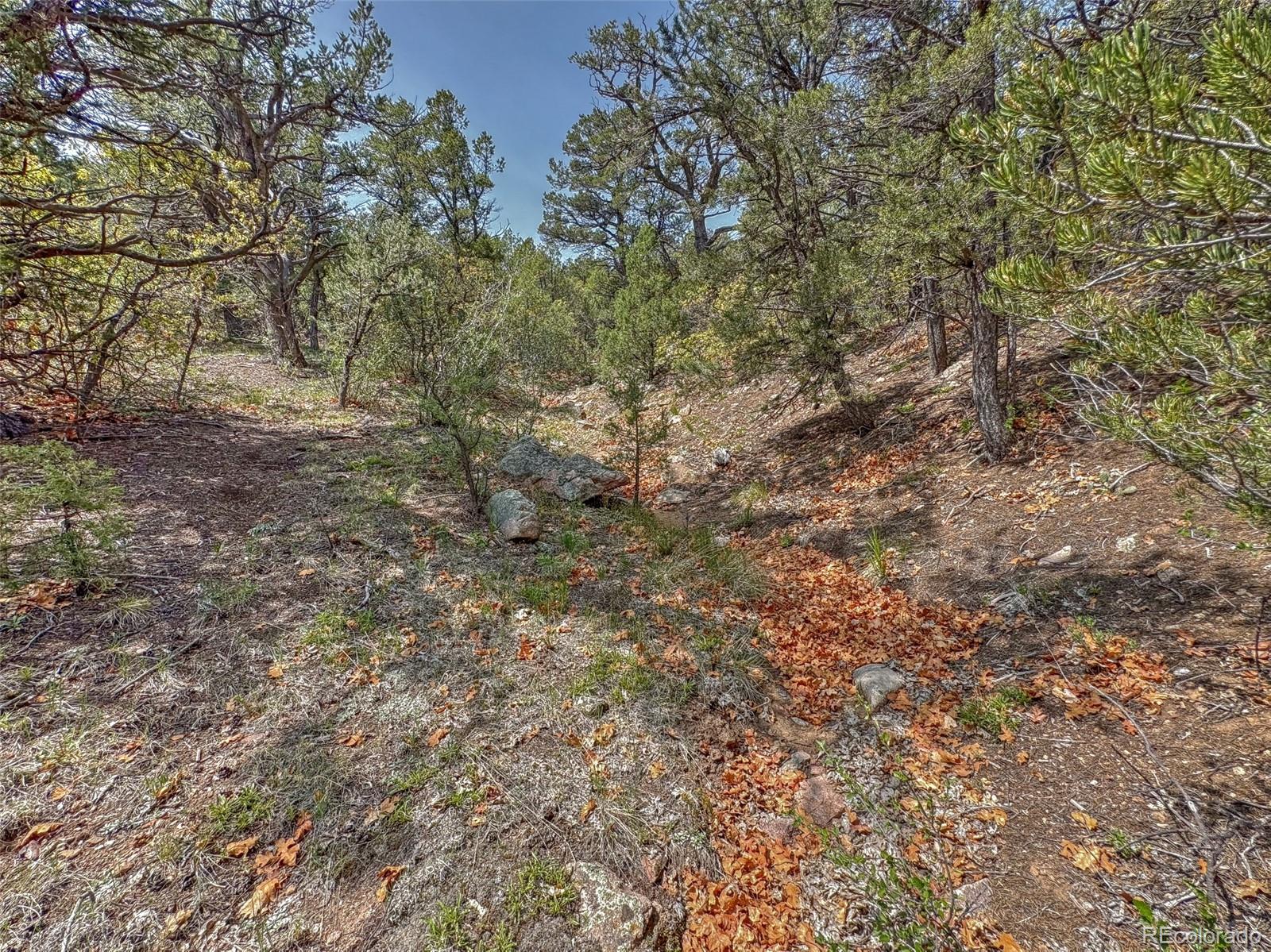 Tbd Lot 34 Corral N Cotopaxi CO 81223